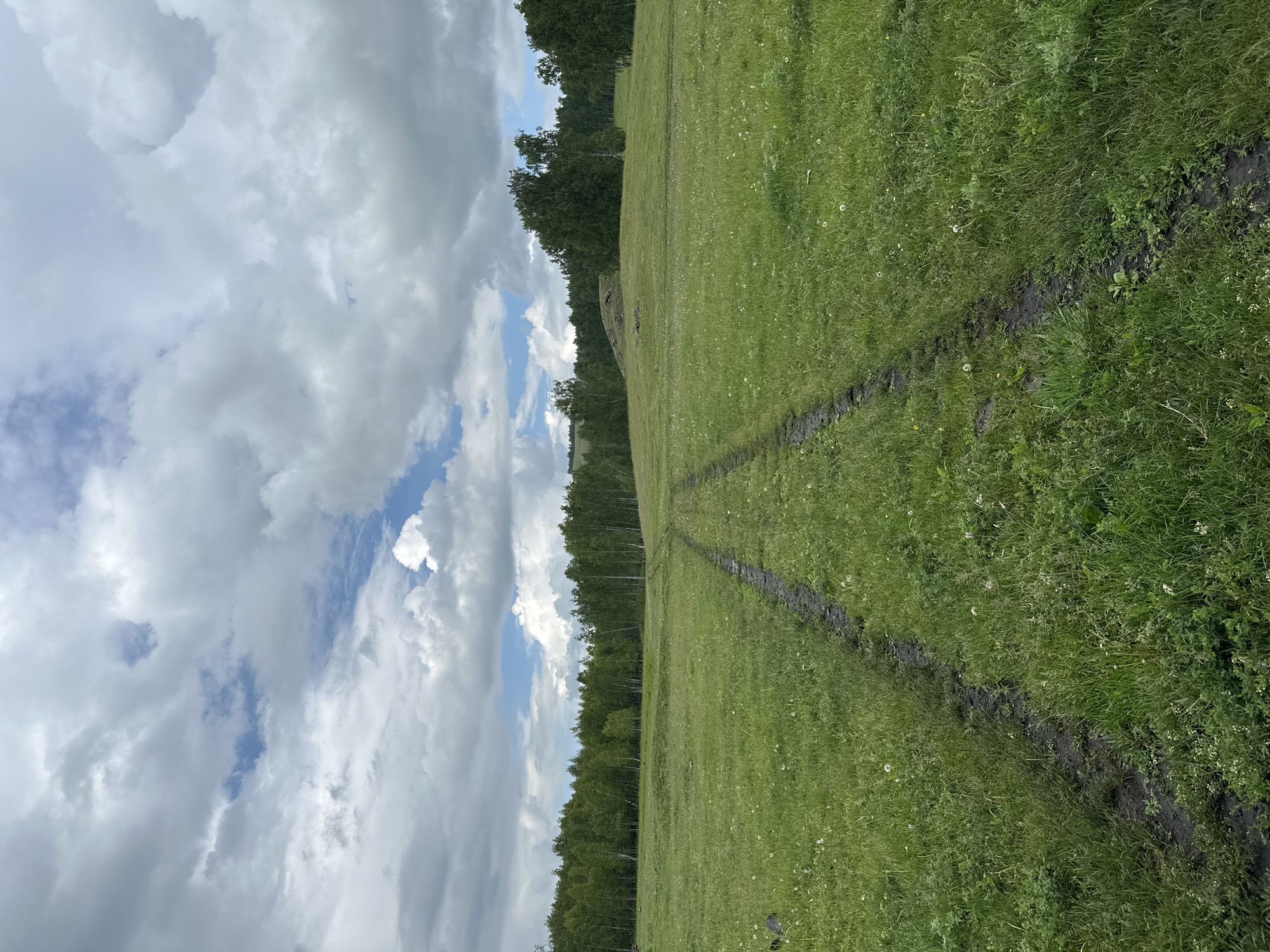 The image depicts a vast, green meadow under a partly cloudy sky. A muddy track, worn by tire treads, carves a path through the grass, disappearing into the distance. In the background, a dense line of birch trees forms a natural border, beyond which rolling hills and more trees are visible. The scene suggests a rural or wilderness setting, possibly on the outskirts of Abzakovo, Russia, a region known for its natural landscapes and recreational activities.