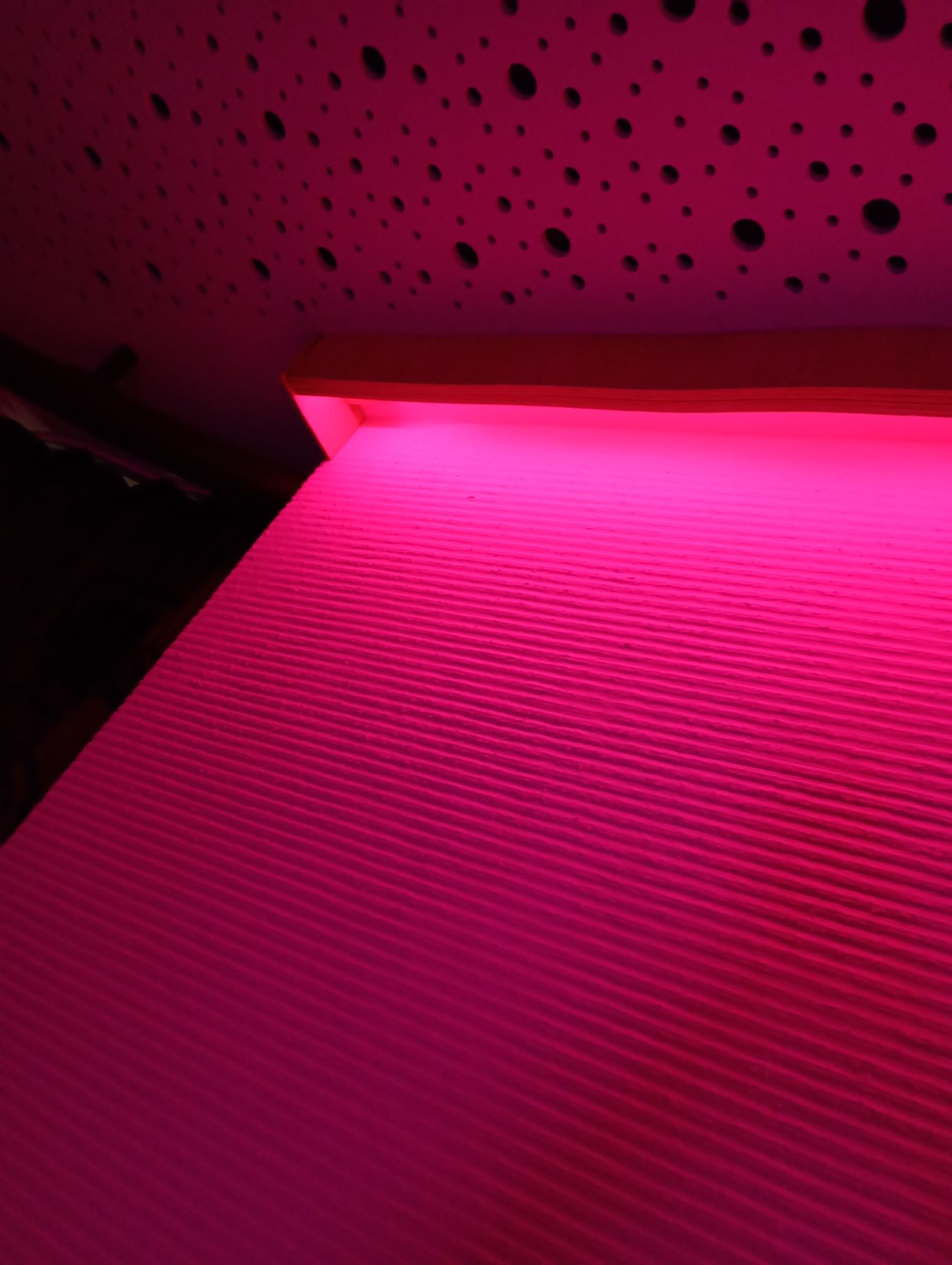 The image shows a close-up, angled view of a pink, corrugated surface under bright pink lighting. The surface appears to be made of a textured material, possibly cardboard or plastic, with a series of parallel ridges running diagonally across the frame. Above and to the left, a section of a darker surface with numerous small, circular perforations is visible, illuminated by the same pink light. A wooden beam runs horizontally across the top of the image, separating the perforated ceiling from the illuminated surface below. The scene appears to be indoors, with the lighting suggesting a deliberate or artificial setup. The location in Bad Sachsa, Germany, is not discernible from the visual elements present in the image.