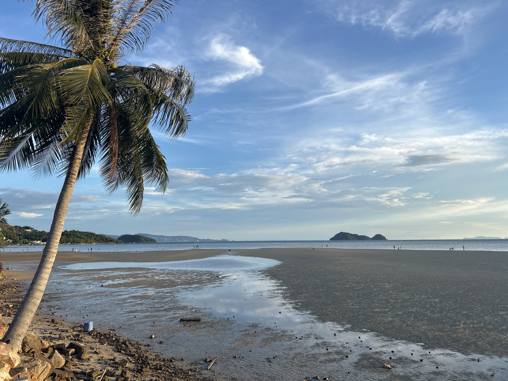 The image captures a serene coastal scene in ตำบลเกาะพะงัน, Thailand. A tall palm tree dominates the left side of the frame, its leaves swaying gently. The beach stretches out, marked by a blend of wet sand and tidal patterns. In the distance, small islands rise from the horizon, complementing the light blue sky dotted with wispy clouds. Several people are scattered along the beach, some wading in the shallow water. The foreground features rocks and debris, adding texture to the scene. The overall impression is one of tranquility and natural beauty.