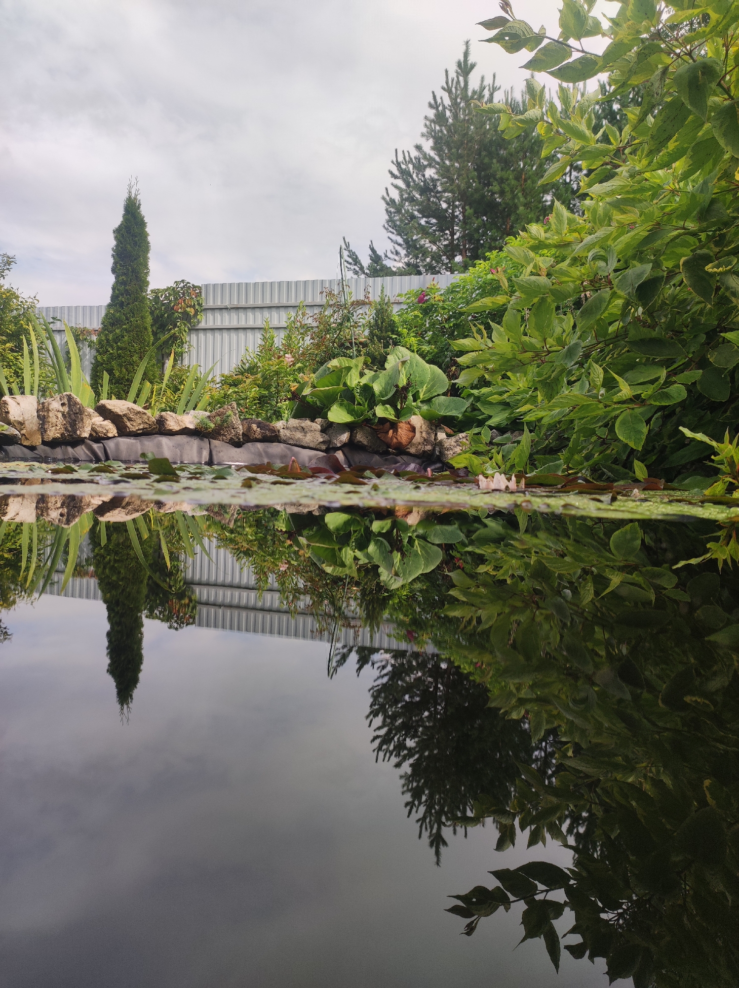 The image depicts a tranquil garden scene with a pond in the foreground, reflecting the surrounding environment. The pond's edge is lined with rocks and various green plants, including tall, slender trees and lush bushes. A light gray corrugated metal fence runs along the back of the garden. The sky is overcast with scattered clouds. The reflection in the water is clear, showing the trees, fence, and sky. There are no people or animals visible in the image. The scene suggests a well-maintained private garden. The location is identified as Фоки, Russia.