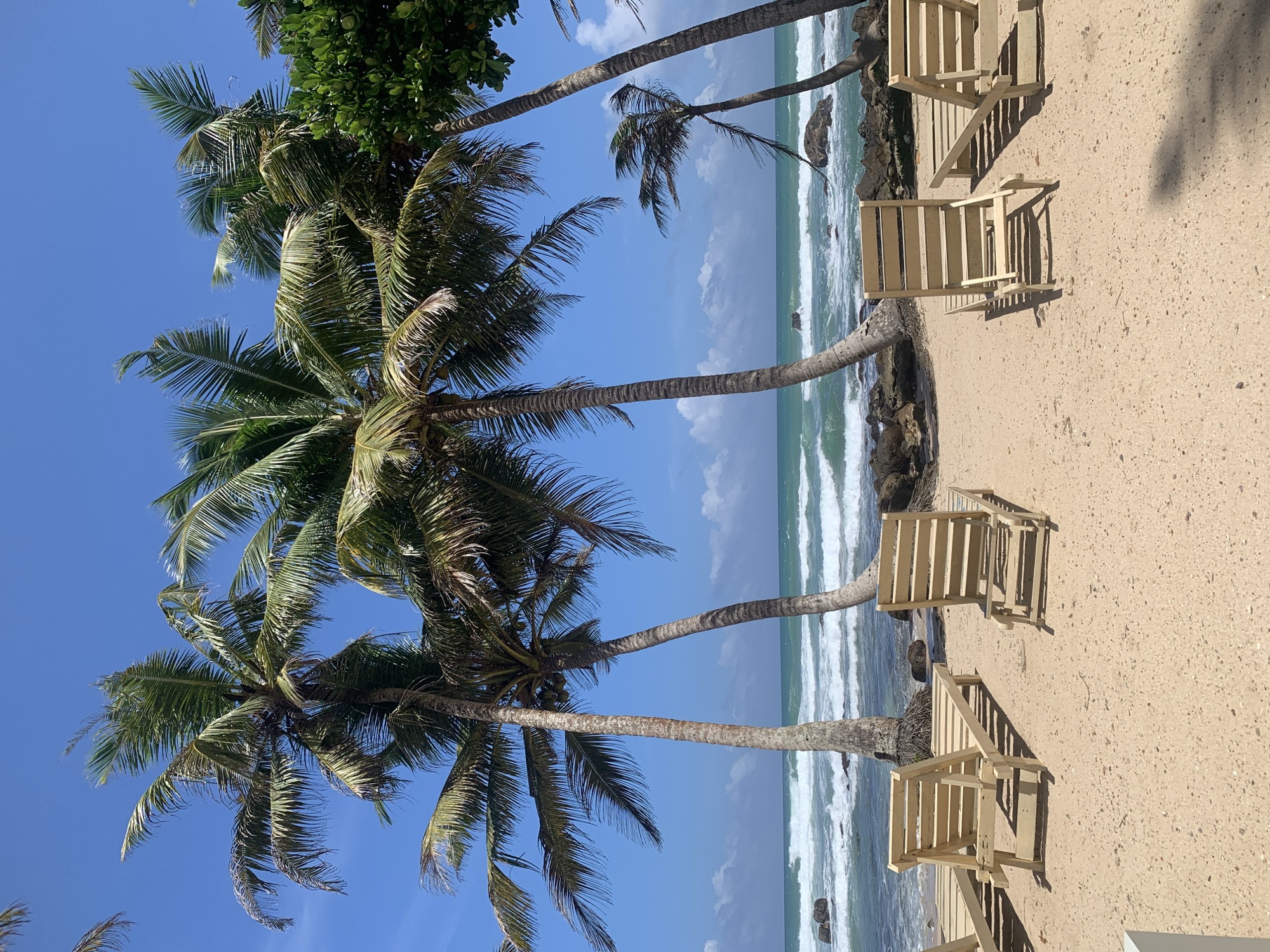 This image depicts a serene beach scene in Midigama, Sri Lanka. In the foreground, several empty, light-colored wooden lounge chairs are arranged on a sandy beach. The chairs are made of slatted wood and are positioned facing the ocean, suggesting a place for relaxation and sunbathing. Behind the chairs, a line of palm trees with lush green fronds sways gently against a clear blue sky dotted with a few white clouds. The ocean is visible with waves crashing onto a rocky shoreline, creating a dynamic contrast with the calm beach. The water is a vibrant turquoise color, transitioning to deeper blue further out. Some large rocks are scattered in the water near the shore. The overall atmosphere is one of tranquility and natural beauty.