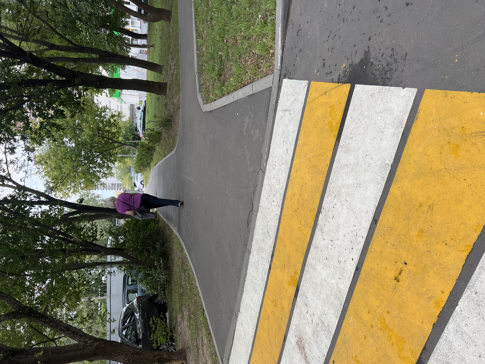 The image shows a view of a pedestrian crossing with yellow and white stripes on a paved walkway. A woman with gray hair, wearing a purple shirt and dark pants, is walking away from the camera on the walkway. She is carrying a gray jacket over her left shoulder and a dark bag in her left hand. The walkway curves to the right, with a grassy area to the right and trees on the left and in the background. Cars are visible parked on the left side of the walkway, and buildings are in the distance. The scene appears to be in a residential area of Moscow, Russia, likely a courtyard or park. The weather seems overcast.