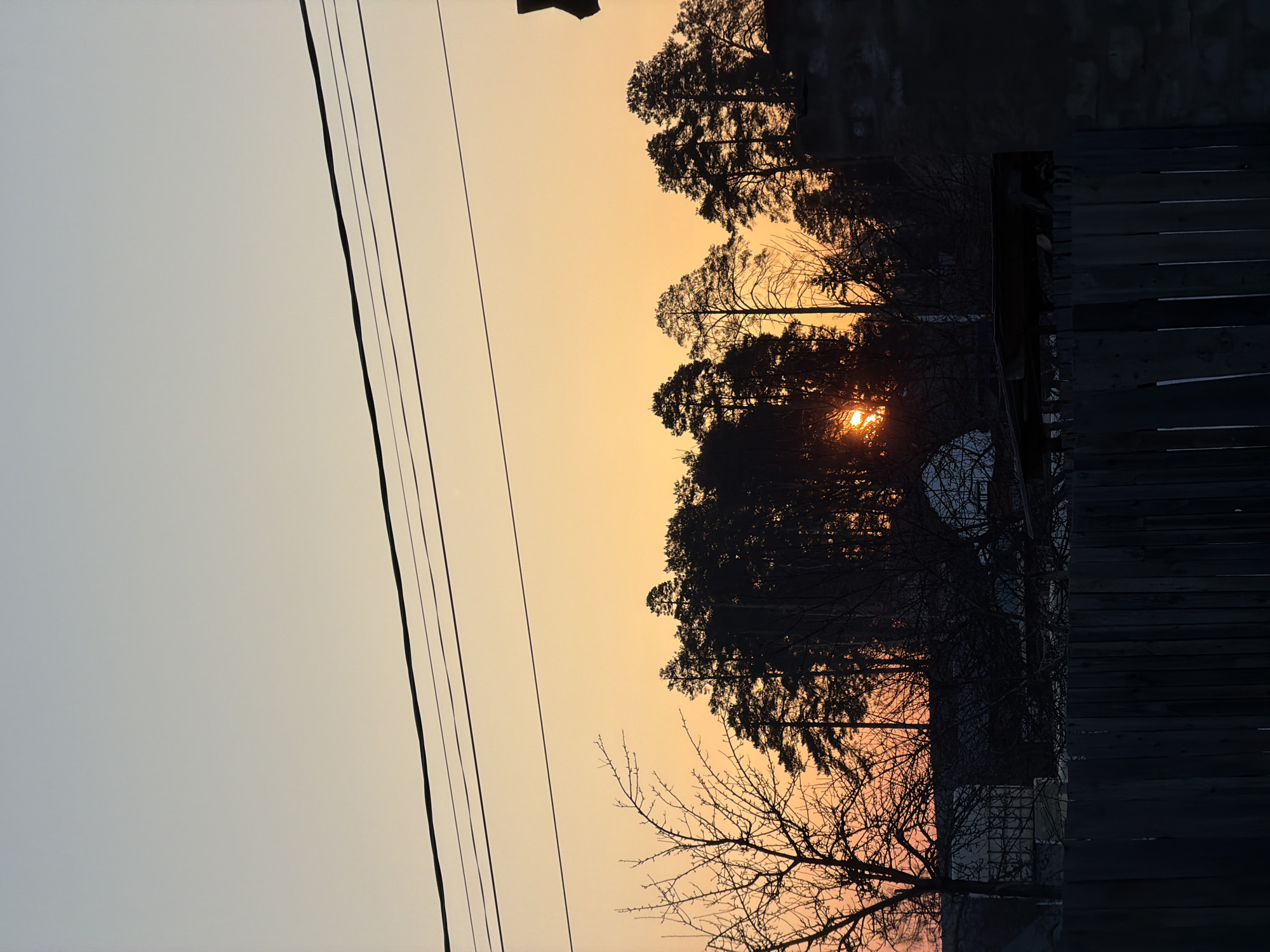 The scene captures a sunset or sunrise in Chaikovsky, Russia. The sky presents a gradient from light blue-gray at the zenith to an intense orange-yellow near the horizon. Several dark power lines traverse horizontally across the upper-mid section of the sky. A prominent, dense treeline forms a dark silhouette against the illuminated sky, comprising primarily coniferous trees with some bare deciduous branches visible, particularly on the left. The sun, appearing as a bright orange-red glow, is partially visible through the trees on the left side of the treeline. Below the treeline, dark, indistinct silhouettes of buildings, possibly residential structures or outbuildings, are present. The immediate foreground is dominated by a dark wooden fence constructed from vertical planks. No individuals, specific actions, or interactions are discernible within the frame.