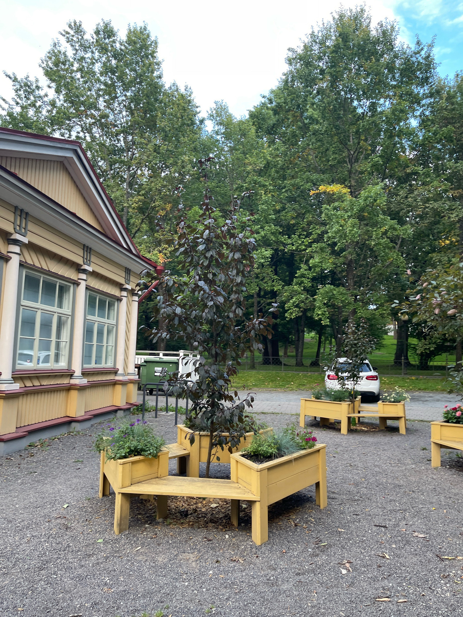 The image captures an outdoor scene in Tallinn, Estonia, likely during daytime given the natural light. In the foreground, a cluster of yellow wooden benches with integrated planters is arranged on a gravel surface. One bench features purple flowers and green foliage, while another, slightly further back, contains white flowers and greenery. A dark-leafed tree stands prominently near the center, its branches reaching upwards.
To the left, a portion of a yellow building with white trim and large, multi-paned windows is visible. The building's architecture suggests a historical or traditional style, possibly a museum or an old residence. In the background, several large, mature trees with green foliage dominate the landscape, indicating a park or a well-landscaped area. A white modern car is parked on a paved surface among the trees. Two green industrial-style bins are also present near the building, suggesting a functional area. The overall environment appears serene and well-maintained. There are no people visible in the image.