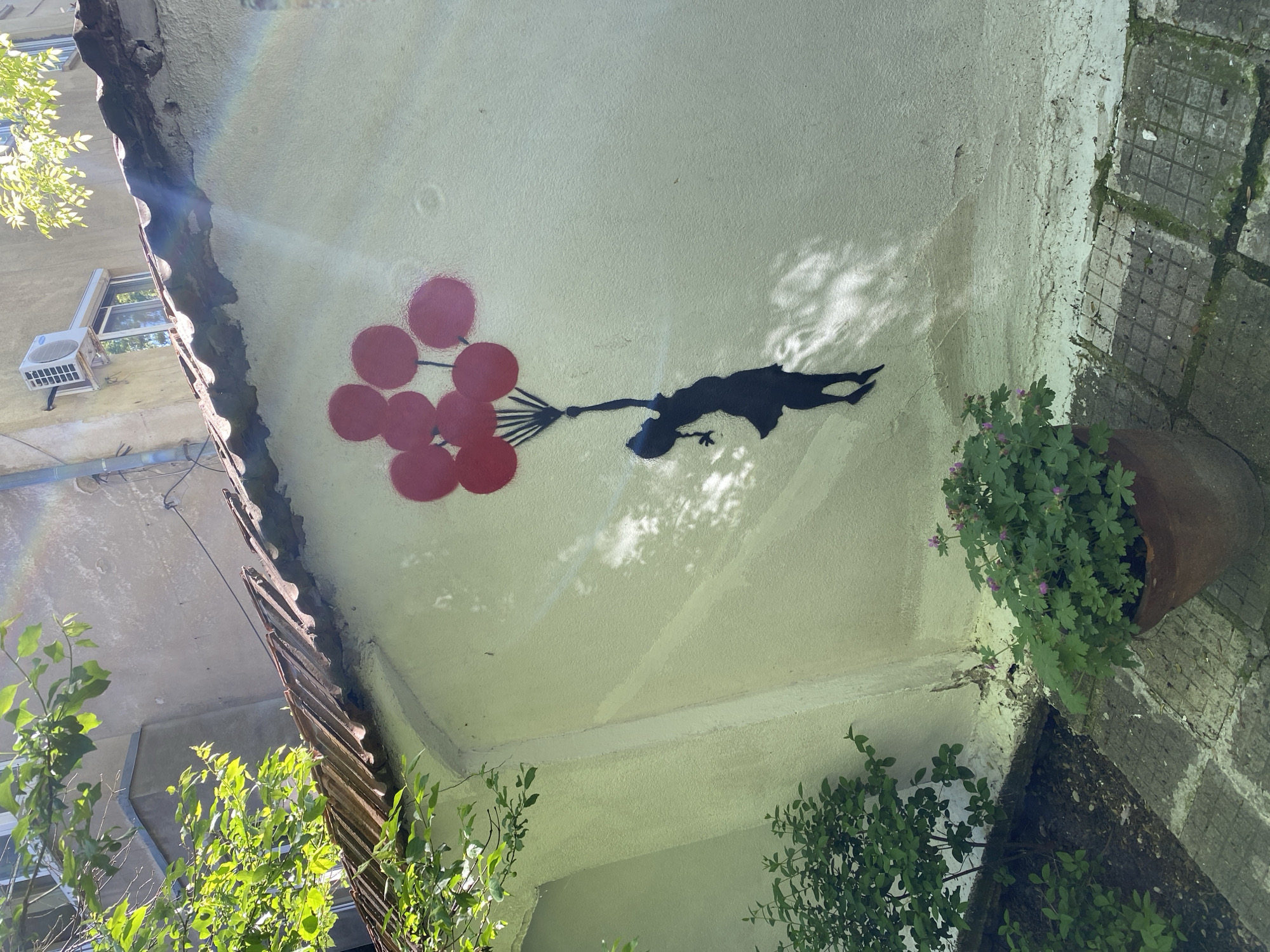 The image shows a Banksy-esque mural on a wall in what appears to be an alleyway or courtyard in Sofia, Bulgaria. The mural depicts a silhouette of a person seemingly floating or flying while holding a bunch of red balloons. The wall on which the mural is painted is a light color, possibly cream or off-white. There are plants and greenery visible at the bottom and right side of the image, including what appears to be a potted plant. The wall is showing signs of wear and aging. Some roofing material is visible near the top of the frame. There is also an air conditioning unit seen attached to the building in the upper left. Light and shadow play across the surface, with some branches and leaves obscuring the light.