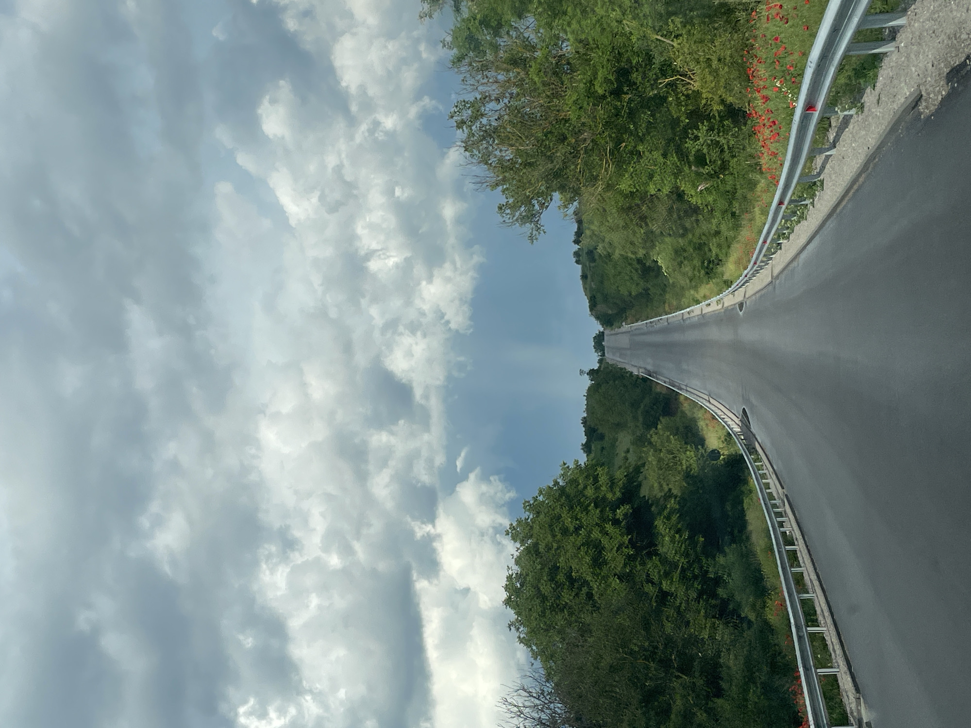 A photograph taken in Loznitsa, Bulgaria, shows a narrow paved road winding through a rural landscape. A metal guardrail runs along the right side of the road. Green vegetation, including trees and possibly wildflowers, lines the road edges. The sky, covering a large portion of the image, is filled with gray and white clouds, suggesting overcast weather. The photograph is oriented vertically, with the road appearing to extend towards the horizon.