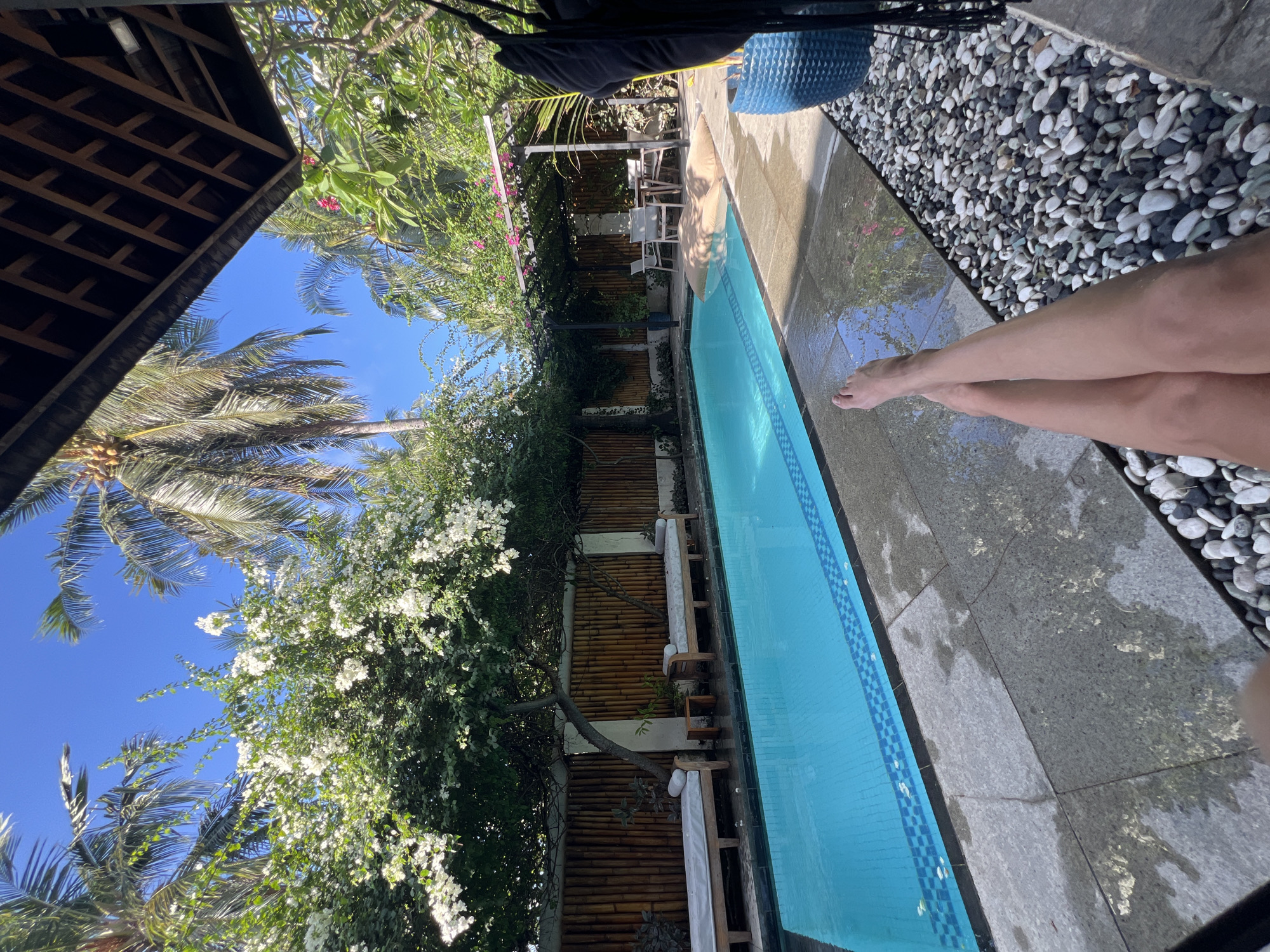 The image, taken with a vertical orientation and rotated 90 degrees counter-clockwise, captures a serene tropical scene by a swimming pool on a bright, sunny day. In the foreground, a person's bare legs are visible, extended towards the turquoise-blue water of the swimming pool, with one foot appearing to be dipped in or resting at the water's edge.
The swimming pool features a distinctive light and dark blue checkered tile border. The poolside area comprises grey tiled paving and a section filled with small, smooth grey and white pebbles. Adjacent to the pebble area, a blue textured pot or container is visible. A dark bag or fabric hangs from a wooden overhead structure (pergola) in the upper left corner of the frame.
The setting is lush with tropical vegetation. Tall palm trees reach towards a clear blue sky, while abundant white flowering bushes, likely bougainvillea, drape over a bamboo fence that lines the length of the pool. In the mid-ground, behind the fence and foliage, tables and chairs are visible, suggesting an outdoor dining or lounge area. The overall atmosphere evokes relaxation and a vacation feel. There is no visible text in the image.