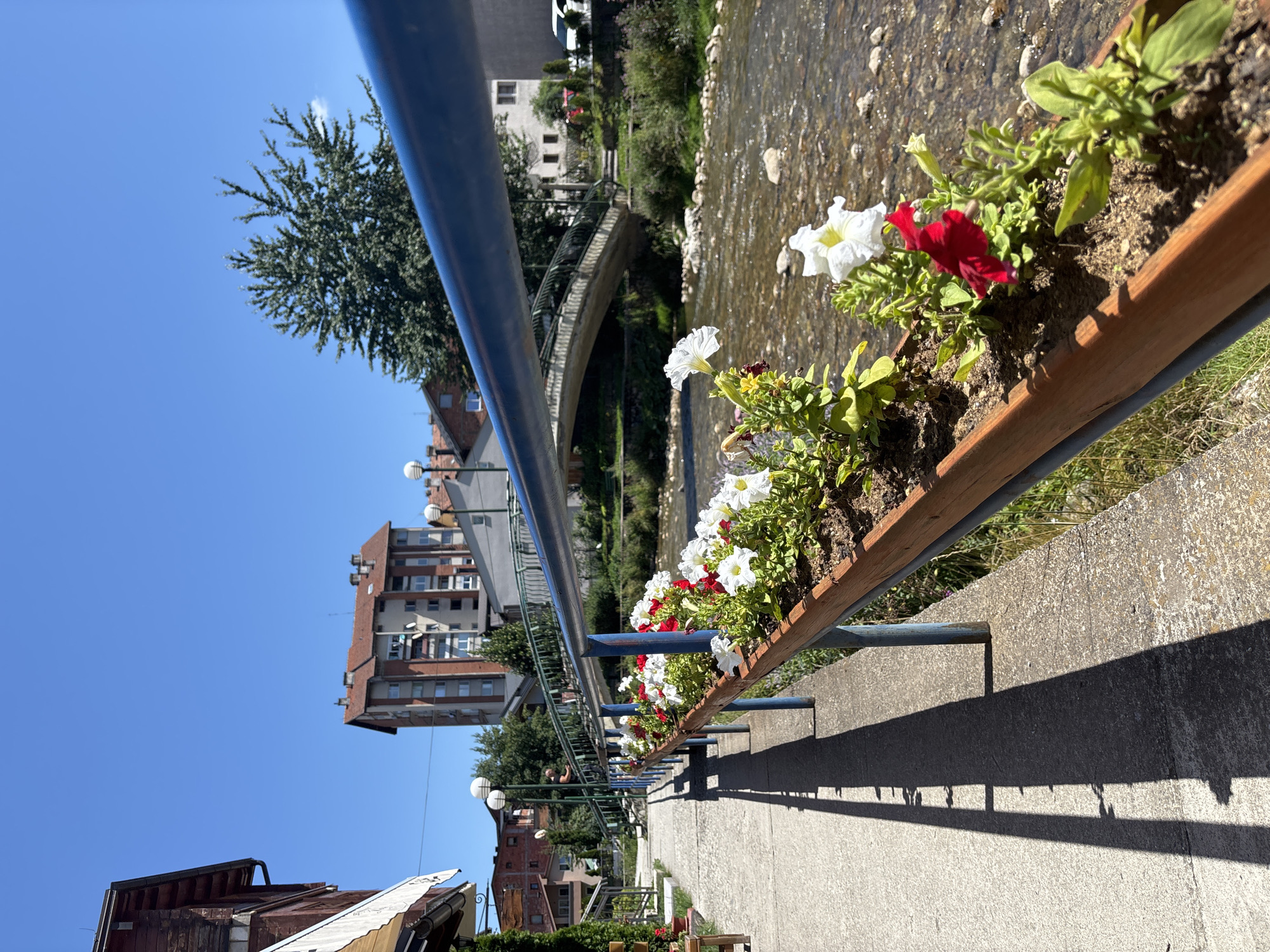 The image depicts a paved walkway alongside a flowing river on a sunny day. The walkway is bordered by a wooden planter box filled with red and white petunias. A blue metal railing runs along the walkway, with the planter box attached to it. In the background, a bridge arches over the river, and beyond that, buildings and trees are visible under a clear blue sky. The scene appears to be in a town or city, with a focus on the natural element of the river and the decorative flowers. There are no people prominently featured in the image.