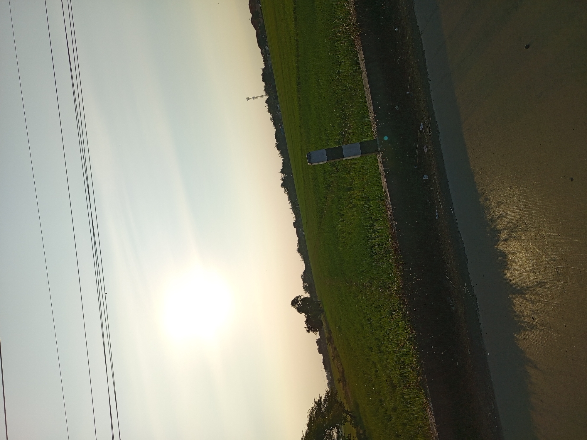 The image depicts an agricultural landscape at sunset, likely in the city of Sumberejo, Indonesia, given the context. The sun is low in the sky, casting a warm, golden light across the scene. A vast expanse of green rice paddies dominates the middle ground, their stalks swaying gently in the breeze. A concrete barrier runs along the edge of the paddy field, with a black and white striped post standing prominently on it, possibly marking a boundary or hazard. Beyond the fields, a line of trees and buildings is visible in the distance, including a communication tower. The foreground shows a paved road, its surface reflecting the warm glow of the setting sun and showing the shadows of nearby objects. Overhead, several power lines stretch across the sky, dividing the frame. The overall impression is one of rural tranquility and natural beauty.