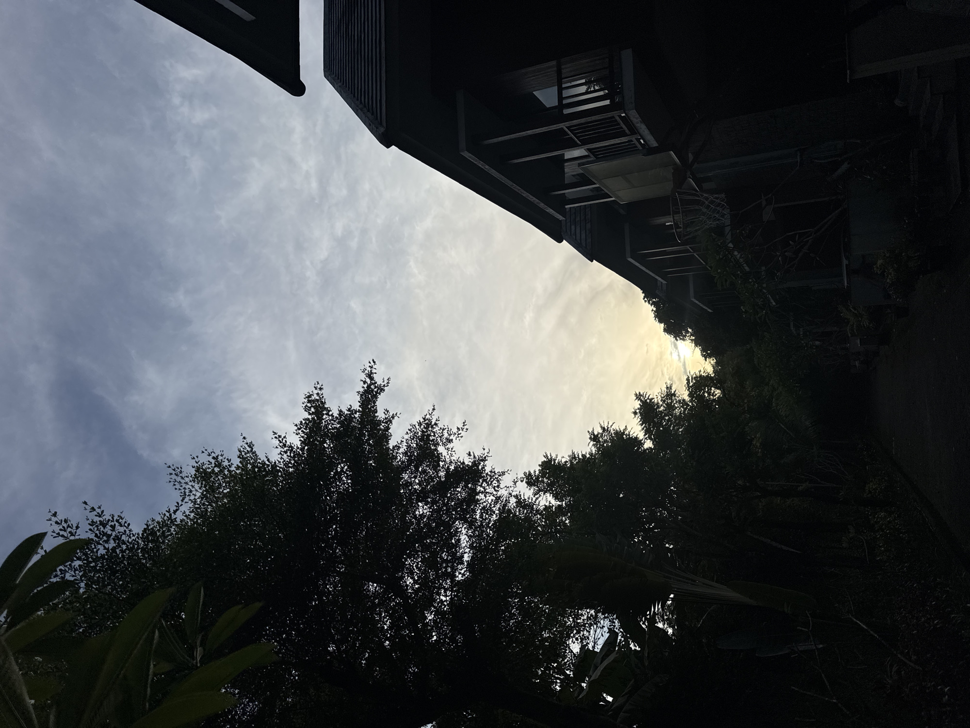 The image presents an upward-looking view, rotated approximately 90 degrees clockwise from its natural upright orientation. The central and upper-left portions of the frame are dominated by a partially cloudy sky. The clouds are wispy and spread out, transitioning from a bright, glowing yellowish-white on the right side of the sky to a softer blue-grey towards the left. This strong backlighting, emanating from the right, indicates either sunrise or sunset.
Framing the sky are dark silhouettes of structures and dense vegetation. Along the top edge of the image and extending downwards into the middle-right are parts of dark, multi-story buildings. These structures display architectural features such as horizontal wooden slats or siding, balconies with railings, and dark windows, all rendered in deep shadow against the bright sky. Their design hints at a modern or tropical aesthetic, possibly a residential complex or hotel.
On the bottom-left and extending towards the middle-right of the frame are abundant masses of tropical foliage and tree canopies, also appearing in dark silhouette. Various types of leaves and branches are discernible, emphasizing the lushness of the environment. Broader leaves are visible in the immediate foreground at the bottom-left.
No people or specific activities are visible within the frame. The scene captures a tranquil moment of twilight or dawn. The tropical vegetation and the architectural style are consistent with the provided location context of Kuta Selatan, Indonesia. There is no visible text.
