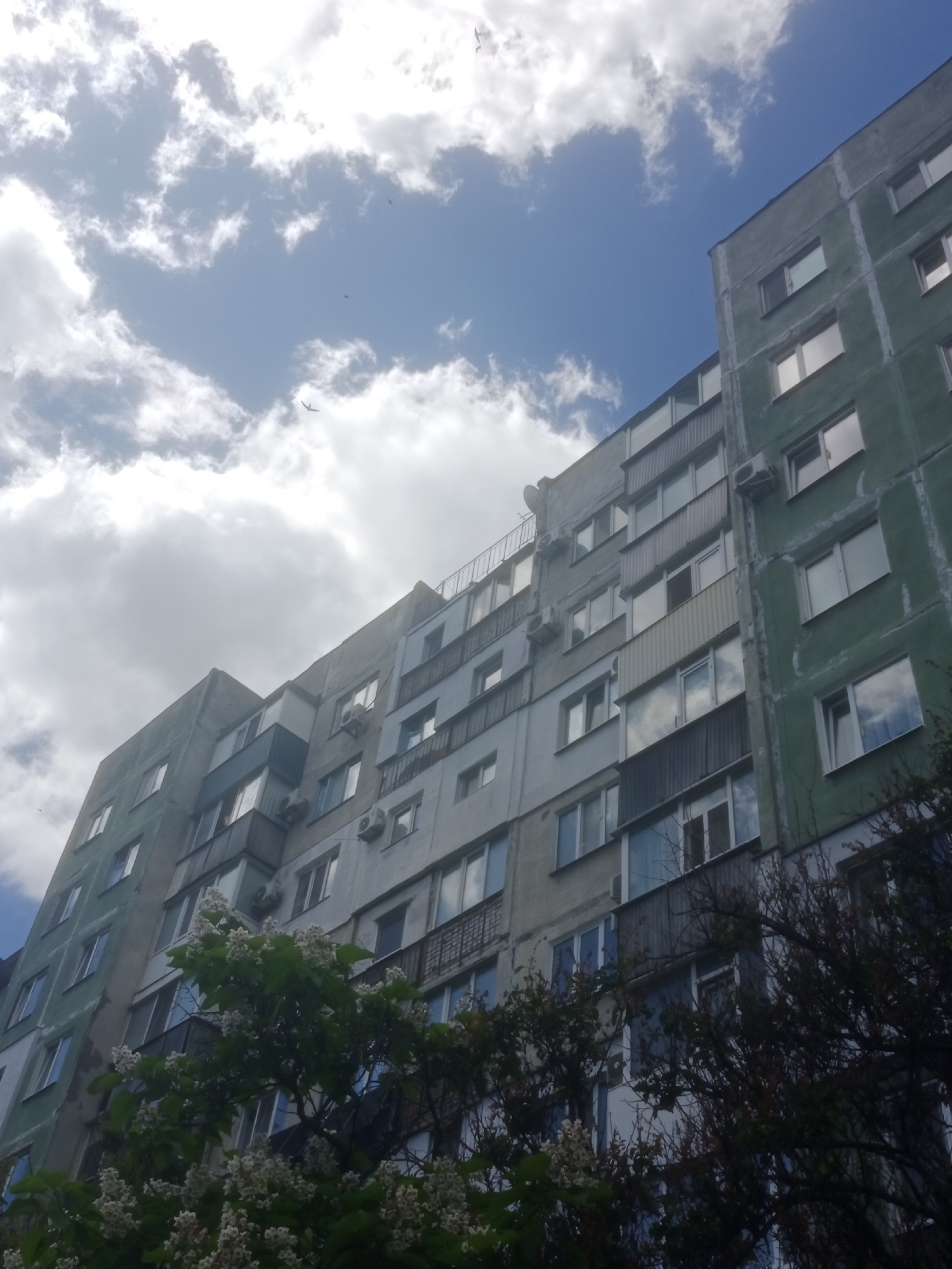 A low-angle shot captures the facade of multi-story apartment buildings against a bright, cloudy sky. The buildings appear to be of Soviet-era construction, with a mix of concrete and painted surfaces in various states of repair, some sections are green, others grey. Windows are visible on each level, some reflecting the sky and clouds. Several air conditioning units are mounted on the exterior walls. In the foreground, branches of a flowering tree with white blossoms and green leaves partially obscure the lower floors of the buildings. The scene suggests an urban environment in Horishni Plavni, Ukraine, during daytime.