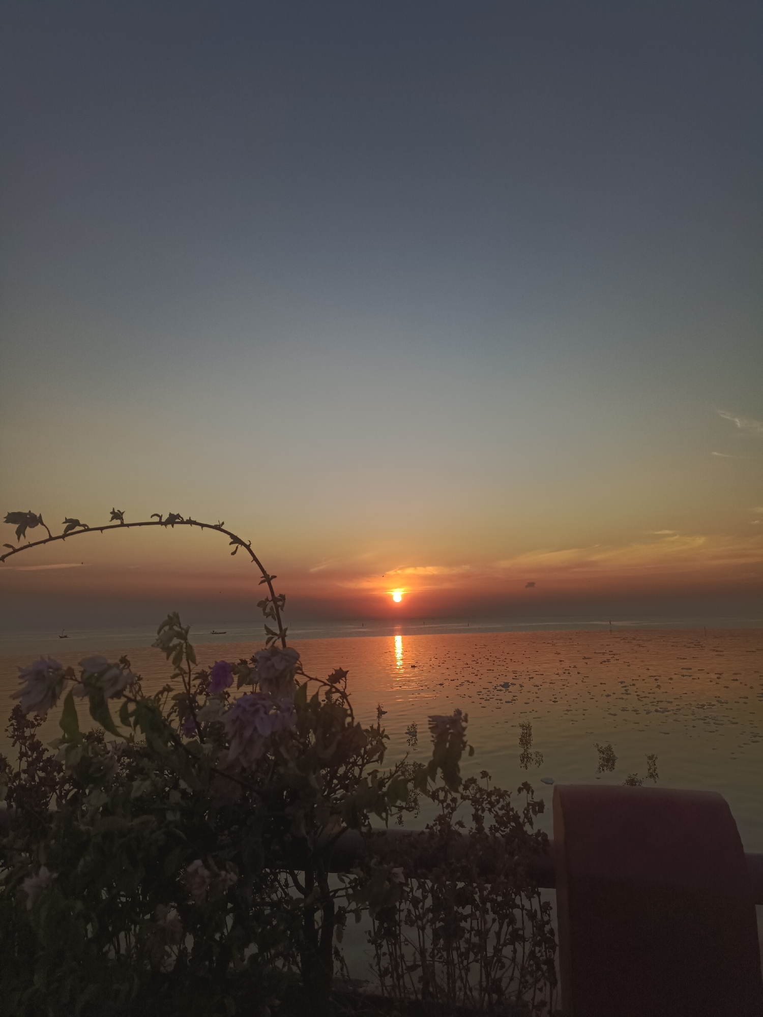 The image depicts a serene sunset over a body of water. The sun, a bright orange orb, is setting on the horizon, casting a warm glow across the sky and reflecting on the water's surface. The water is calm, with small ripples and some scattered debris or floating objects visible. In the foreground, a silhouetted plant with delicate purple flowers and thorny vines arcs across the frame, partially obscuring the view of the sunset. A dark, reddish-brown railing is visible on the right side of the image. The sky transitions from a soft blue at the top to shades of orange and yellow near the horizon. Several small boats are faintly visible in the distance on the water. The overall atmosphere is peaceful and tranquil. The location is Unknown, Unknown.