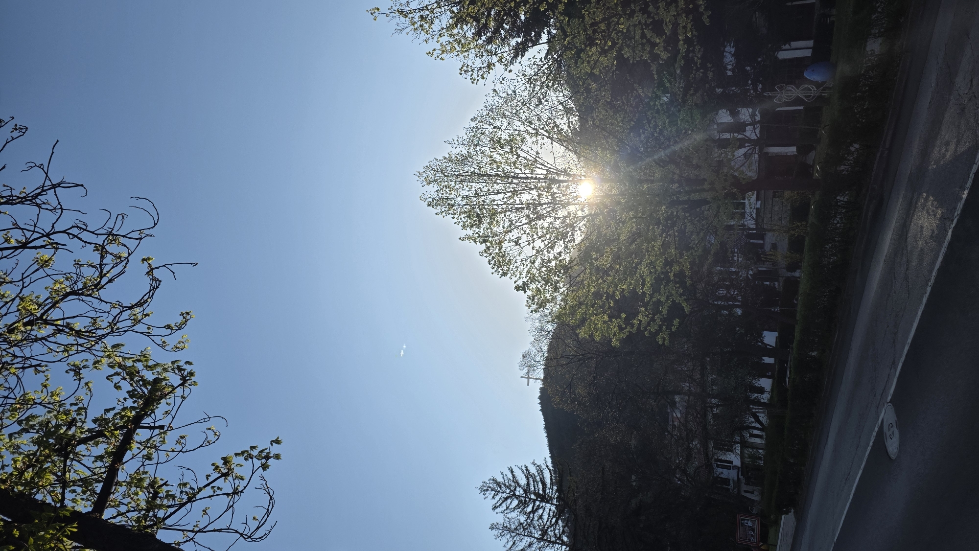 The image shows a sunny day in Blagoevgrad, Bulgaria. The sun is shining through a tree, creating a bright glare. There is a cross on a hill in the background, and a road with a manhole cover in the foreground. Buildings can be seen among the trees. The sky is blue with a few sparse clouds.