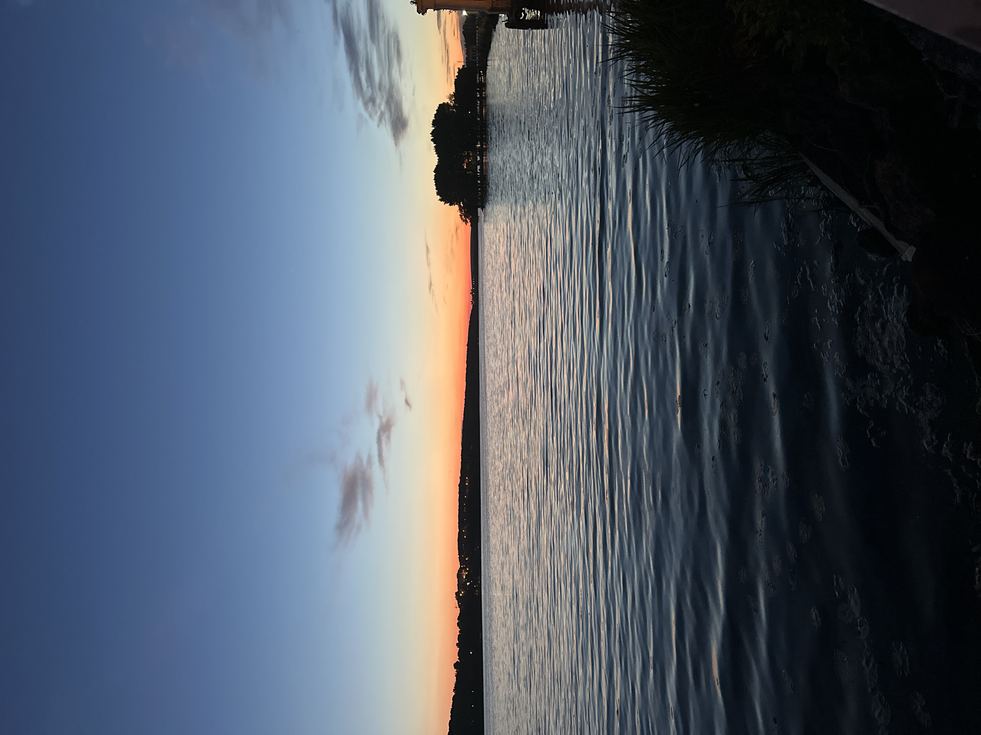 The image depicts Ternopil Pond (Ternopil Lake) in Ternopil, Ukraine, at dusk. The sky transitions from a vibrant orange-red at the horizon to a deep blue overhead, containing a few wispy clouds and a single, distinct bright point of light, likely a star or planet, in the upper right quadrant. The large body of water, characterized by subtle ripples, occupies the majority of the frame, reflecting the subdued twilight colors. A distant, undulating shoreline is visible on the left, featuring sparse structures with faint illumination. Towards the mid-right, a small, densely treed island, consistent with the "Island of Love" landmark, is situated within the pond. On the extreme right, a partial view of a light-colored, ornate column or architectural feature rises from the shore. The immediate lower right foreground shows a dark, rocky bank covered with dense, tall green reeds or grasses. Numerous dark, circular organic forms, resembling lily pads or aquatic debris, float on the water's surface in the foreground. No individuals or active subjects are present.
