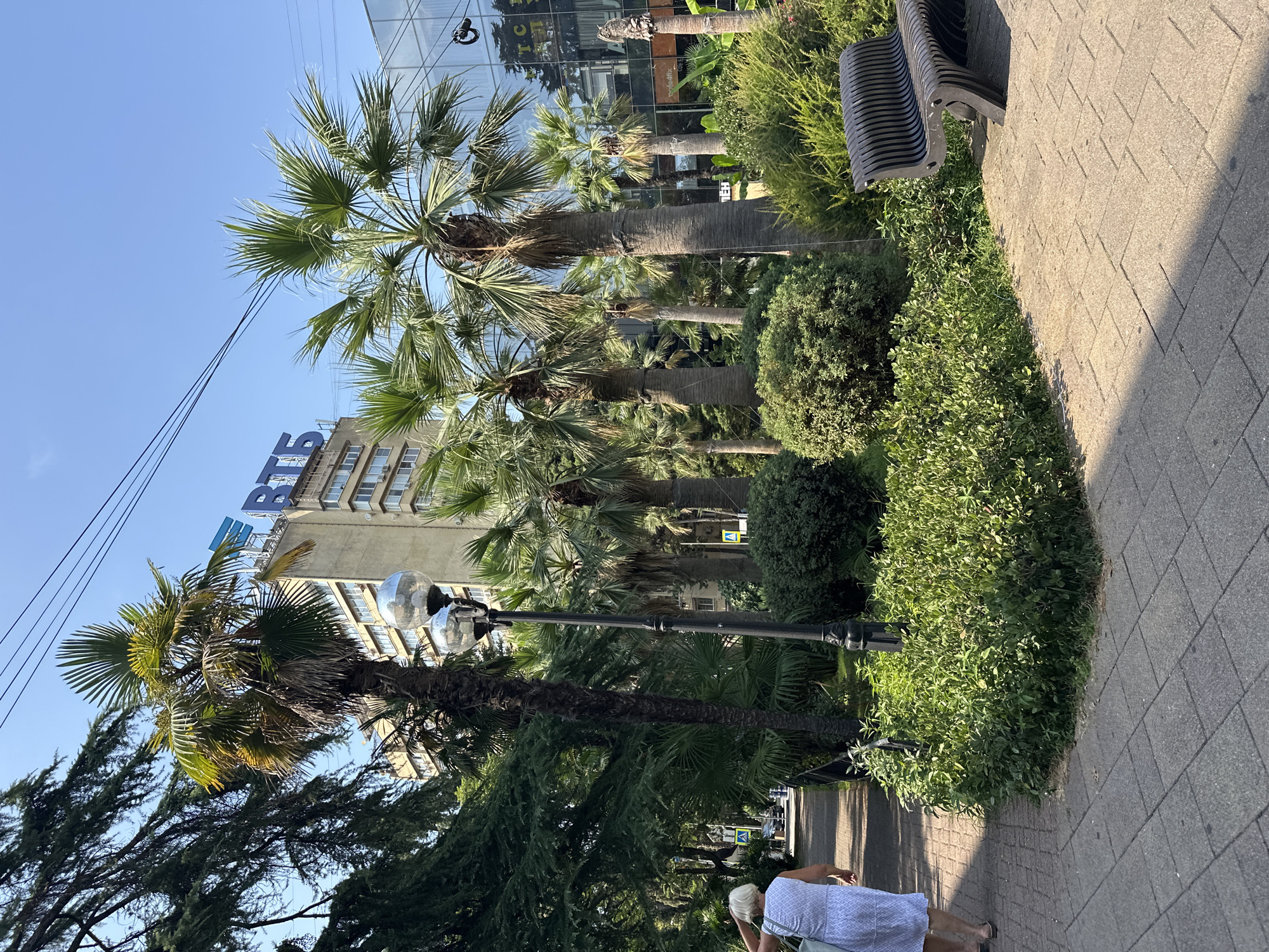 The image depicts a view of the city of Sochi, Russia, specifically the area around the VTB Bank building. In the foreground, a woman in a white dress walks away from the camera on a paved sidewalk lined with lush greenery and palm trees. A modern, black park bench is visible on the right side of the frame, positioned amidst the foliage. Behind the greenery, a multi-story building with the prominent blue VTB logo stands tall, signifying the presence of the bank. The background is dominated by a clear blue sky with a few overhead power lines. The overall scene suggests a sunny day in a well-maintained urban environment with abundant vegetation.