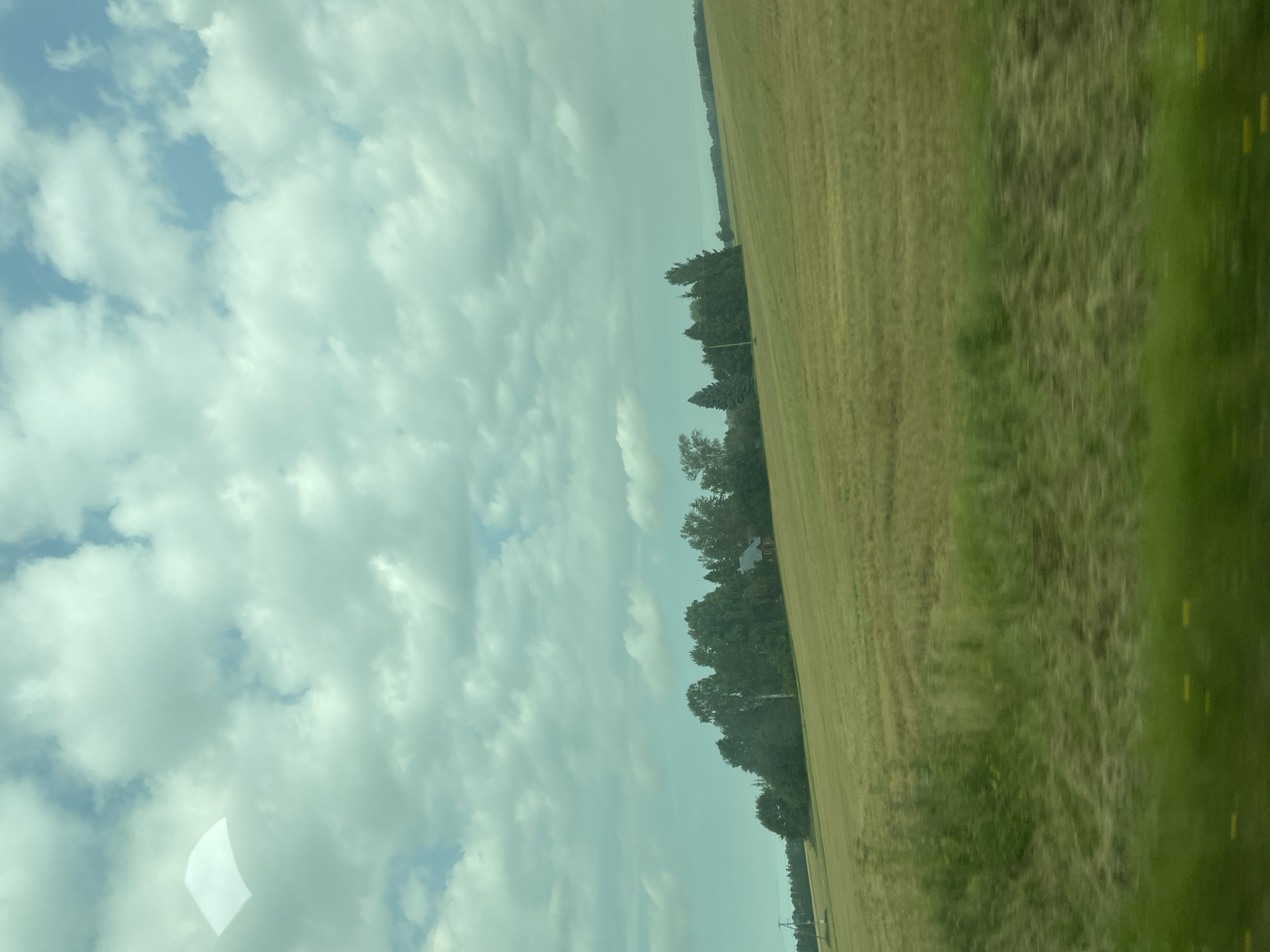 The image depicts a rural landscape under a cloudy sky. The foreground is dominated by blurred green grass, suggesting motion, possibly from a vehicle. Beyond the grass is a vast, golden field, appearing to be recently harvested or fallow. A line of dense green trees forms a treeline in the middle ground, with a small, red-roofed building nestled among them. In the distance, the land rolls gently, and more trees are visible on the horizon. The sky is filled with white and grey clouds, interspersed with patches of blue. The overall impression is one of a peaceful, bucolic setting in the countryside. The location is specified as Ilmatsalu, Estonia.