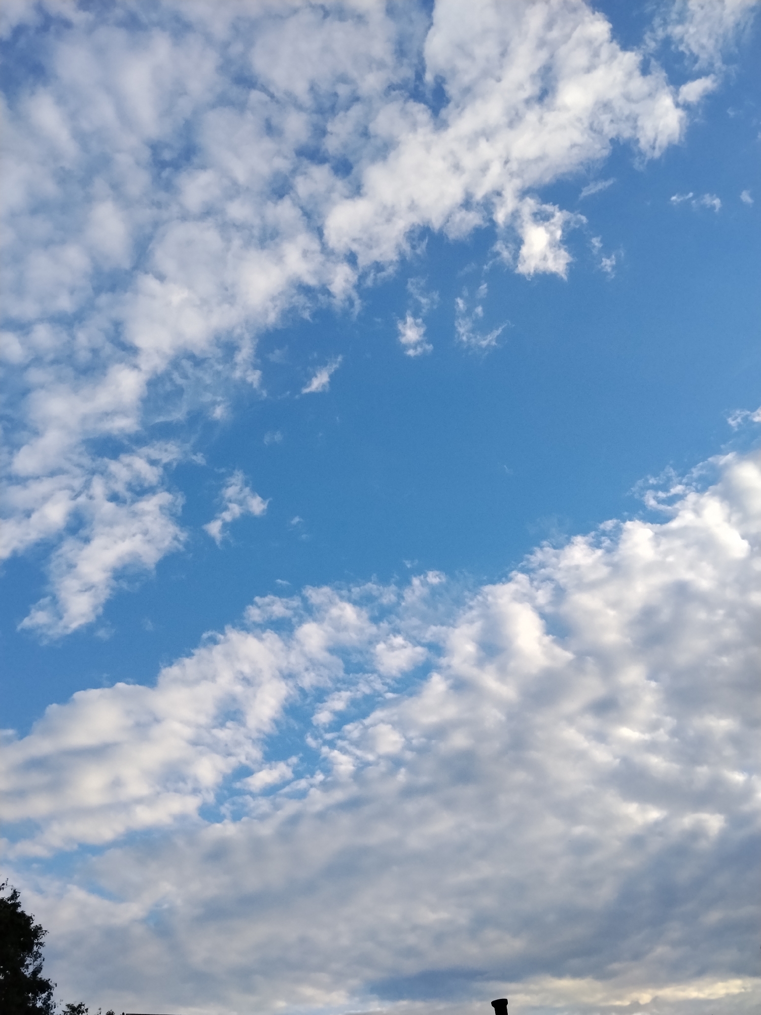 The image displays a vast expanse of blue sky dotted with scattered white clouds. The clouds are varied in size and density, with some appearing wispy and thin, while others are more substantial and puffy. The lighting suggests it is daytime, likely late afternoon or early morning, given the soft illumination of the clouds. At the very bottom of the frame, the tops of dark green trees are visible on the left, and a sliver of a dark structure, possibly a building or a chimney, is discernible on the right. The scene is characteristic of an outdoor environment in a rural or suburban area, consistent with locations like Ustyvytsia, Ukraine, where such sky formations are common. There are no people or animals visible in the image.