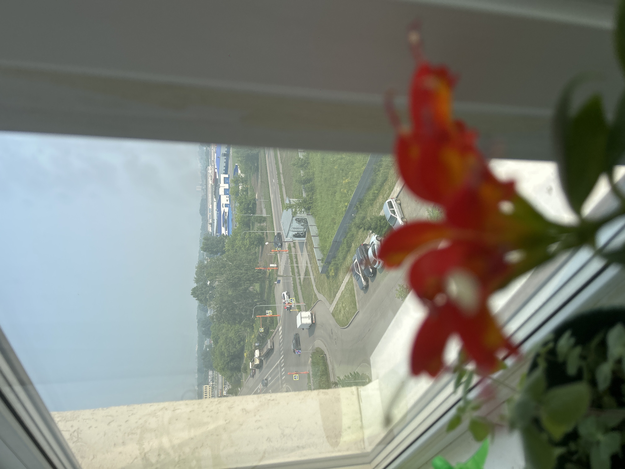 The image captures an elevated view from a window, looking outwards onto a city scene. In the foreground, out of focus, are vibrant red flowers with green foliage, suggesting a plant on a windowsill. The main focus of the image is the cityscape visible through the window.
A road with multiple lanes of traffic is prominent, with several cars and trucks driving. A white truck appears to be turning. Road signs, including yellow diamond-shaped signs with black symbols indicating caution or directions, are visible at intersections. Buildings, including what appears to be a row of industrial or commercial structures with blue roofs, are visible in the middle distance, along with a variety of trees and green spaces. The sky is hazy and pale blue, indicating potentially dusty or overcast conditions. The architectural style of the buildings and the vehicles suggest a Russian setting. Based on contextual information, this scene is identified as being in Kemerovo, Russia.