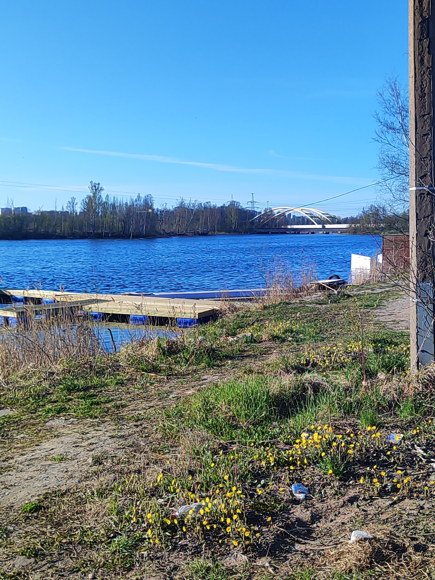 This image presents a bright, sunny landscape featuring a body of water bordered by land on both sides.
In the immediate foreground, a grassy bank slopes down towards the water. This area is characterized by patches of green grass, some drier, browner vegetation, and visible dirt paths. Numerous small, bright yellow flowers, possibly coltsfoot, are in bloom, adding a pop of color. Unfortunately, several pieces of litter, including blue and white plastic bags or wrappers, are scattered across the ground. To the far right, a sturdy, dark wooden post or utility pole stands vertically, and a small, rustic shed-like structure with a white panel is visible behind it.
The midground is dominated by a wide expanse of deep blue water, likely a river or large lake, showing gentle ripples on its surface. A wooden floating dock or platform, constructed with light-colored planks and blue pontoons, extends out into the water from the near bank.
Across the water, the distant bank is lined with a dense treeline, consisting mostly of deciduous trees that appear either bare or just beginning to bud, indicating an early spring setting. Above the trees, power lines are visible. The most prominent feature in the background is a large, distinctive bridge with bright yellow arches spanning the waterway. Further to the left on the horizon, faint outlines of distant buildings or structures can be discerned.
The sky is a clear, vibrant blue with minimal cloud cover, suggesting a bright and sunny day, likely morning or early afternoon given the strong illumination. No people or specific activities are depicted, rendering the scene tranquil but also hinting at human presence through the infrastructure and the unfortunate litter. No visible text is present in the image.