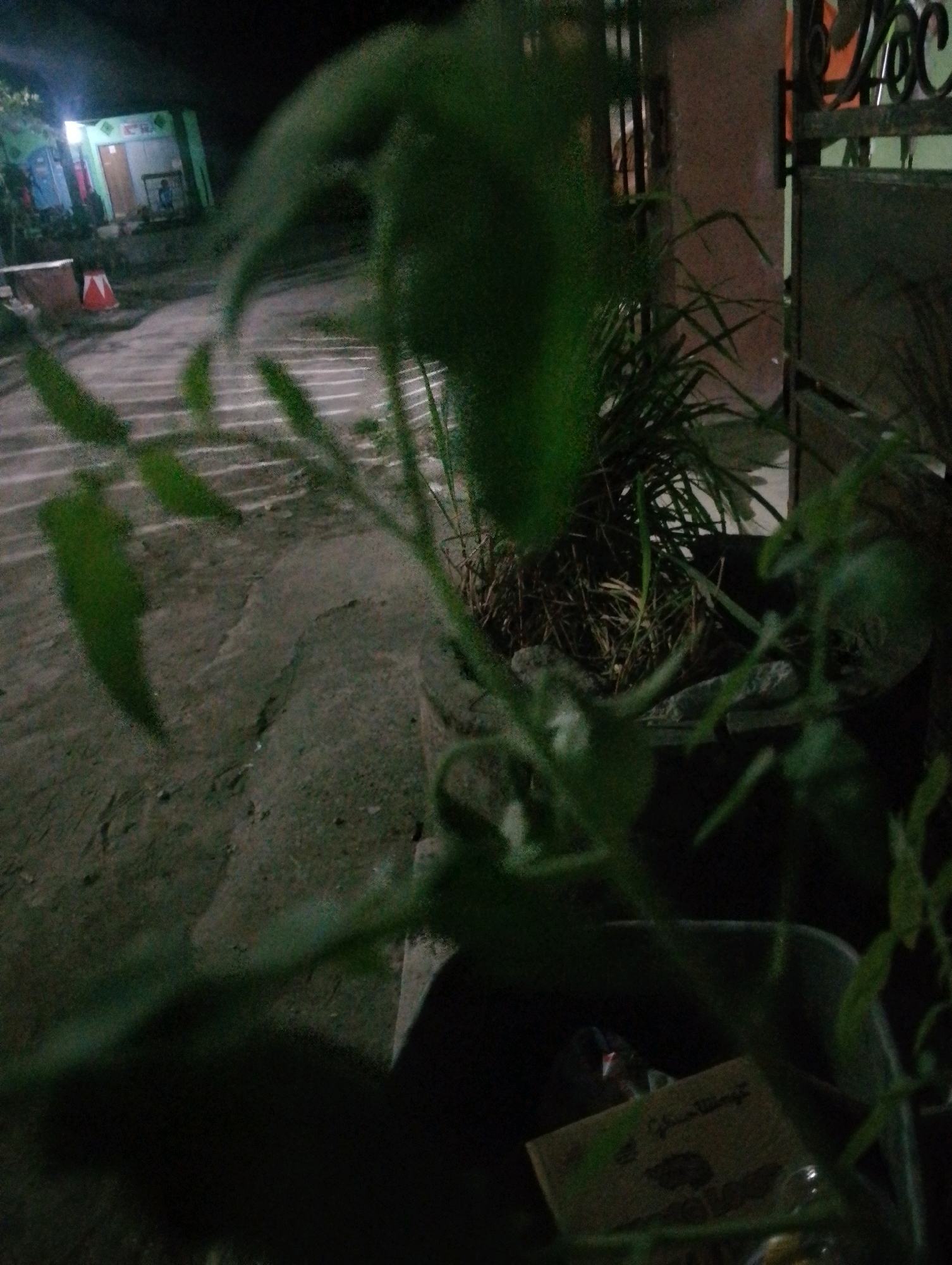 The image shows a blurred, nighttime view of an outdoor scene, possibly a residential area in Kendalrejo, Indonesia. In the background, a green building with a white trim is visible, illuminated by lights. A person, appearing to be a child, is standing in front of the building. In the foreground, there are out-of-focus green foliage and a dark, textured ground, which could be concrete or a pathway. A portion of a metal gate or fence is visible on the right side of the image. There is also a hint of a small, red object in the middle ground, possibly a traffic cone. The overall impression is one of a dimly lit, possibly rural or suburban setting at night, with a focus on the vegetation in the foreground.