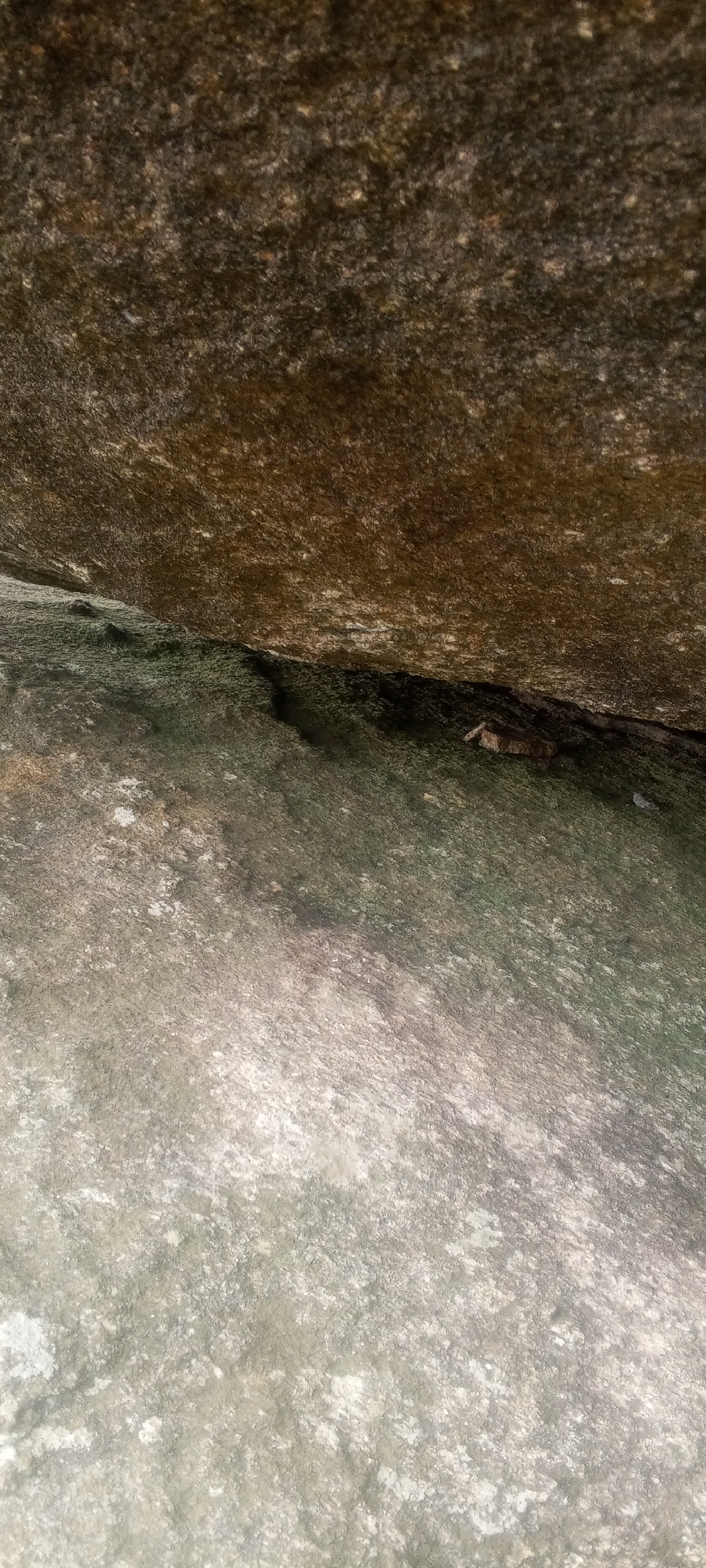 The image shows a close-up, low-angle view of textured rock formations. The upper portion of the image is dominated by a large, rough, brownish rock surface that appears to be an overhang. Below this overhang, a darker, greenish-gray rock surface is visible, with a crevice between the two surfaces. Small fragments of lighter-colored material are scattered on the darker rock. The texture of the rocks suggests they are weathered and potentially mossy or covered in lichen in some areas. There are no visible people, animals, or man-made objects that would indicate a specific location within Ohit, Nigeria; the scene is solely focused on the natural rock features.