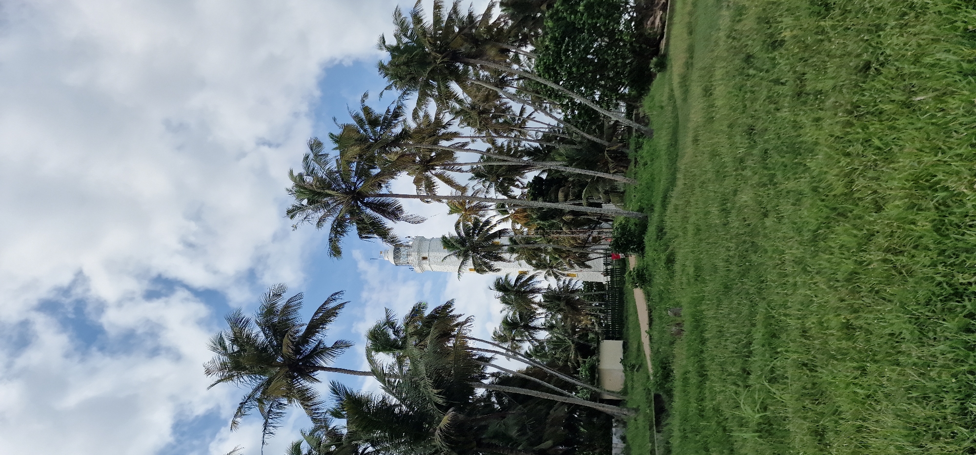 The image shows Dondra Head Lighthouse, Sri Lanka, as seen through a grove of palm trees. The lighthouse is a white cylindrical tower with a glass-enclosed lantern room. The sky is blue with scattered white clouds. The foreground is lush green grass.