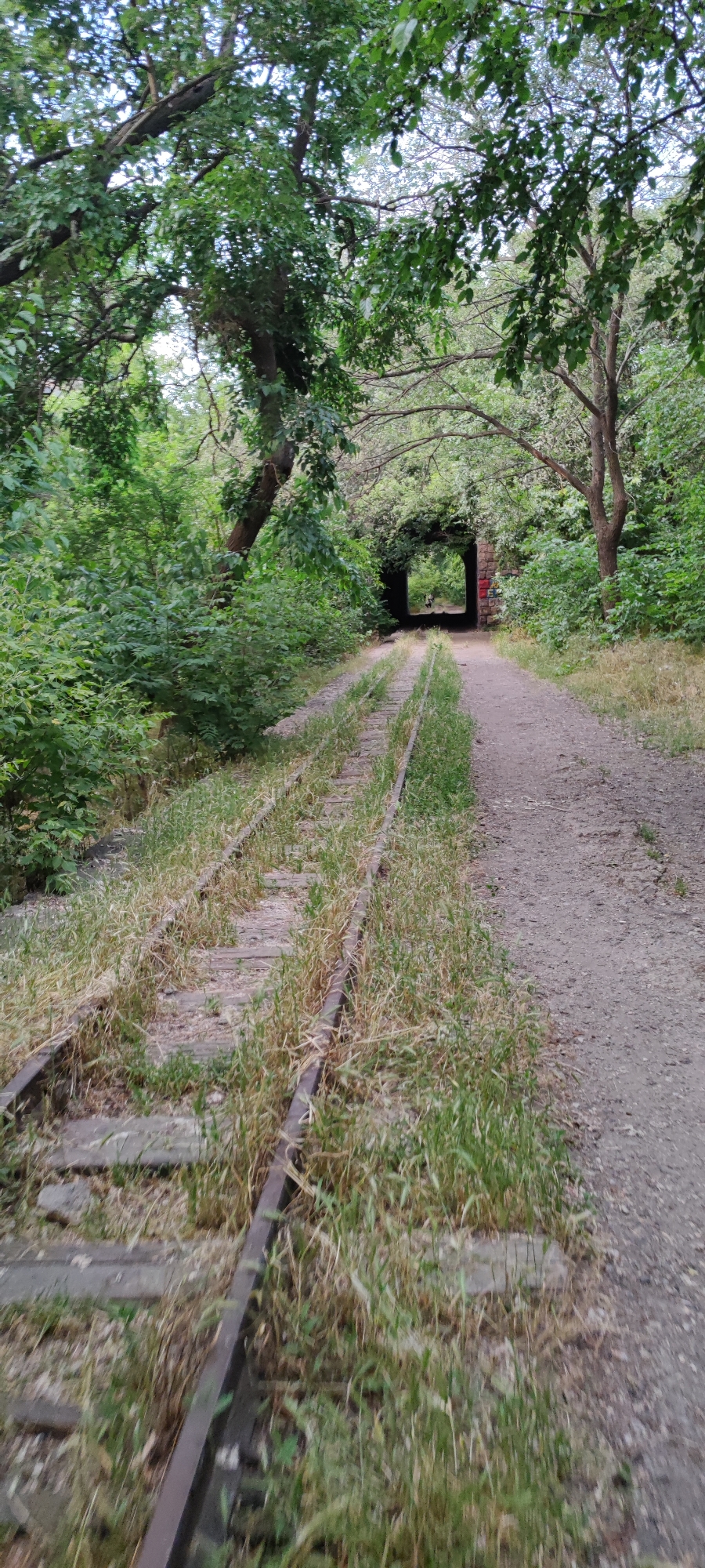 The image depicts an abandoned railway track covered in grass, leading towards a tunnel overgrown with foliage. The tunnel is constructed of stone and brick, with red and white graffiti visible on the right side. A dirt path runs parallel to the railway tracks. The scene is set within a dense forest, suggesting a natural environment. The location is identified as the Kanaker-Zeytun district in Yerevan, Armenia. No people are visible in the image.