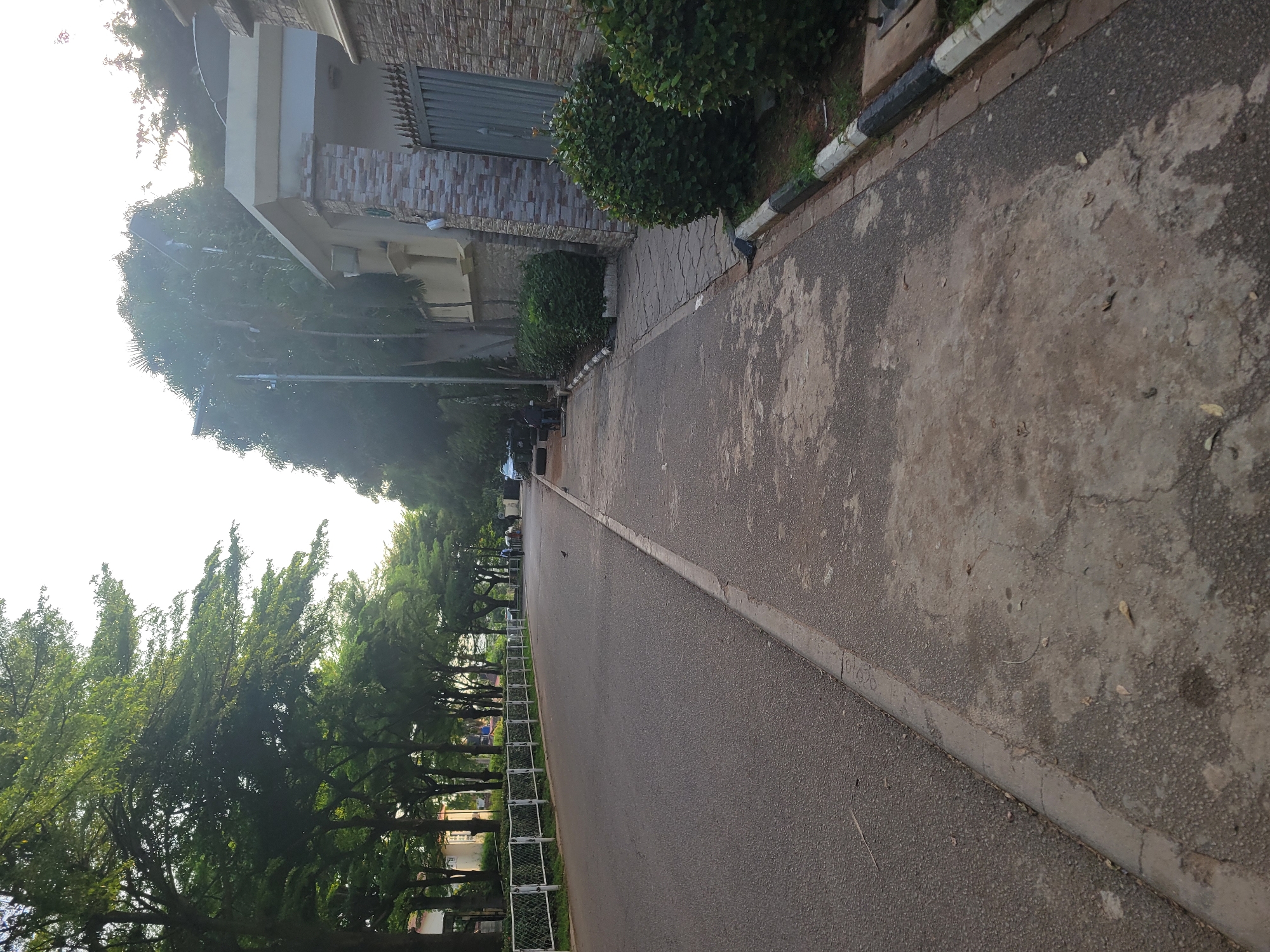 This is a medium-angle, eye-level shot of a paved street lined with trees in Abuja, Nigeria. The street runs diagonally from the lower left to the upper right of the frame. A sidewalk runs along the right side of the street, separated by a curb. On the right side of the sidewalk is a stone-clad wall with a metal gate and green bushes. Several trees with lush green foliage line the left side of the street, with a white fence visible behind them. The sky is bright, suggesting daylight. There are a few scattered leaves on the sidewalk and street, and two birds are visible on the road. A few people and vehicles are distantly visible on the street in the background.