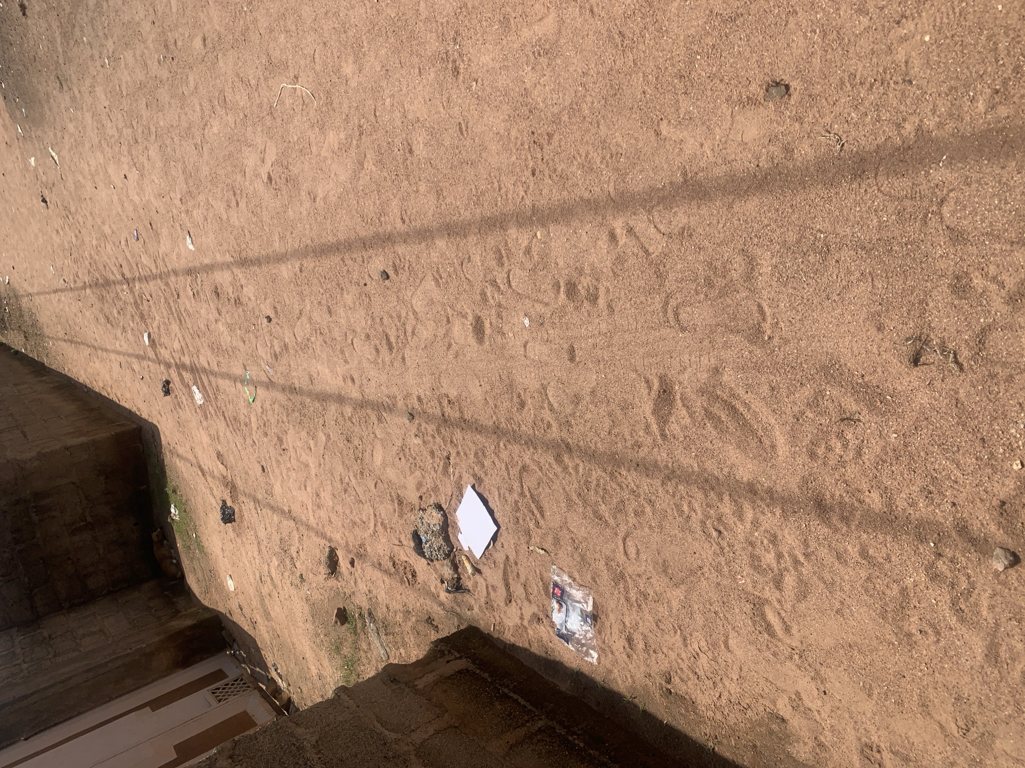 The image depicts a sandy path in Jauro Yinu, Nigeria. The path is lined by a rough concrete wall on the left, with a sliver of a building visible, including a white-painted door with a decorative grill. The ground is predominantly reddish-brown sand, marked with numerous footprints. Scattered across the sand are various pieces of litter, including white paper, plastic packaging, and dark plastic bags. In the shaded area against the wall, a light brown dog is visible sleeping. The scene is illuminated by sunlight, casting long shadows from unseen objects onto the path. The overall impression is one of a somewhat neglected outdoor space.