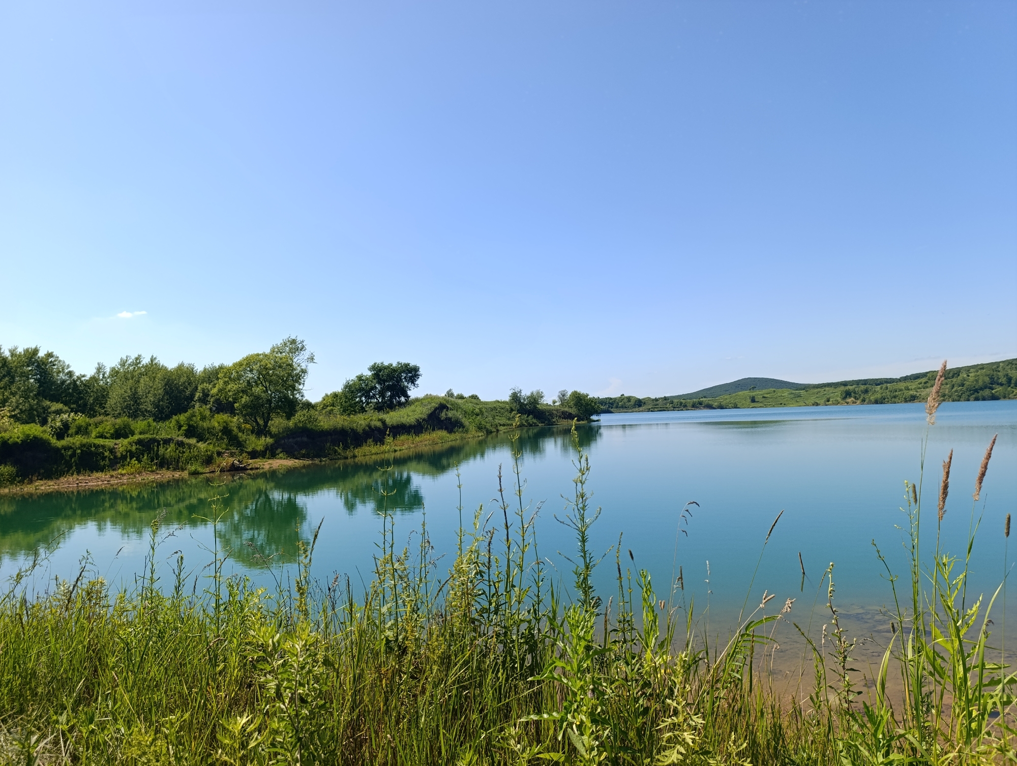 The image depicts a serene natural landscape with a clear blue sky dominating the upper portion. A tranquil body of water, likely a lake or reservoir, occupies the majority of the frame, reflecting the sky and surrounding vegetation. The water is a striking turquoise hue, suggesting clarity and perhaps mineral content.
Along the left bank, lush green trees and shrubs form a dense line, their reflections visible on the water's surface. The terrain appears somewhat uneven, with mounds and slopes covered in vegetation. In the foreground, tall grasses and reeds grow along the water's edge, adding a sense of wildness to the scene. The right bank of the waterbody is further away and appears as rolling hills covered in greenery.
The lighting suggests a bright, sunny day, with no visible shadows indicating the sun's position. There are no people or man-made structures immediately apparent in the scene, emphasizing its natural and undisturbed state. The overall atmosphere is peaceful and idyllic.