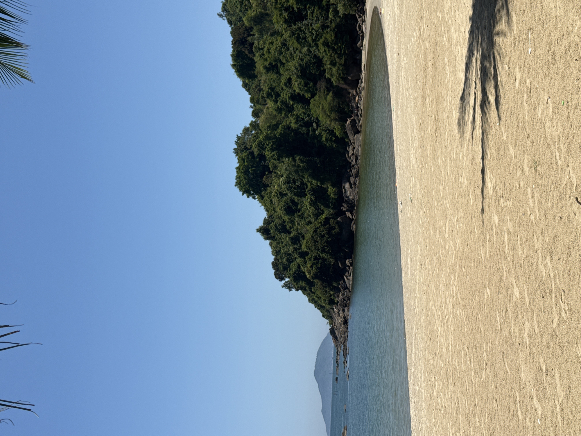 This image depicts a tranquil beach scene under a clear blue sky. The foreground is dominated by a wide expanse of light brown sand, showing subtle undulations and texture. A shadow of palm fronds stretches across the sand from the right side of the frame. In the middle ground, the calm, dark blue water gently laps at the shore, forming a curved waterline that follows the shape of the beach. The water appears clear, with a slight ripple. Beyond the water, a rocky, tree-covered headland juts out into the sea, densely packed with vibrant green foliage. To the far left, a hazy, mountainous island is visible in the distance, partially obscured by the sea. The overall impression is one of a secluded and natural coastal environment. The image does not show any people or specific city landmarks that would pinpoint a precise location within Đà Nẵng, Vietnam, though it is consistent with many of the city's beautiful beaches and surrounding natural topography.
