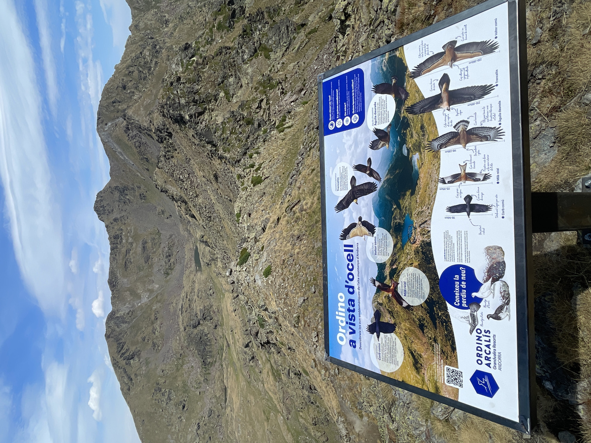 The image shows a panoramic view of a mountainous landscape under a partly cloudy sky. In the foreground, a large informational sign is displayed on a black metal stand. The sign features illustrations and text about birds of prey and other wildlife found in the Ordino Arcalís area of Andorra. The sign has a blue border and a large white section with text and images of various birds, including eagles and crows, in flight and at rest. There are also smaller sections with QR codes and logos for Ordino Arcalís and Grandvalira Resorts. The sign is positioned to overlook a rugged mountain terrain with patches of dry grass and rocks. In the background, mountains rise steeply, with some appearing barren and others covered in sparse vegetation. A small lake is visible in the middle ground between the mountains. The overall scene suggests an outdoor educational display in a natural, high-altitude environment.