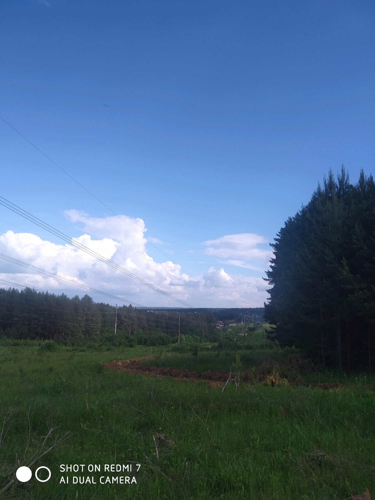 This image captures a wide-angle view of a serene rural or semi-rural landscape under a bright, partly cloudy sky in Chaikovsky, Russia. The foreground is dominated by lush green grass, with some sparse dry foliage and a patch of recently disturbed brown earth in the middle.
Across the mid-ground and extending to the horizon, dense coniferous forests are visible. A prominent line of dark green pine trees forms a strong vertical edge on the right side of the frame. To the left, a more expansive forest stretches into the distance, revealing a valley where a few buildings with reddish roofs can be faintly seen.
The sky is a clear, vibrant blue, punctuated by several large, white cumulus clouds, especially on the left and center. High in the sky, a small bird is silhouetted against the blue. Multiple strands of electrical power lines, supported by utility poles, crisscross the scene, running diagonally from the upper left towards the distant right, indicating human infrastructure within the natural setting.
The lighting suggests it is daytime, likely mid-morning or early afternoon, with clear weather. No specific human activity is depicted, creating a tranquil atmosphere. A watermark in the bottom left corner reads: "SHOT ON REDMI 7 AI DUAL CAMERA".