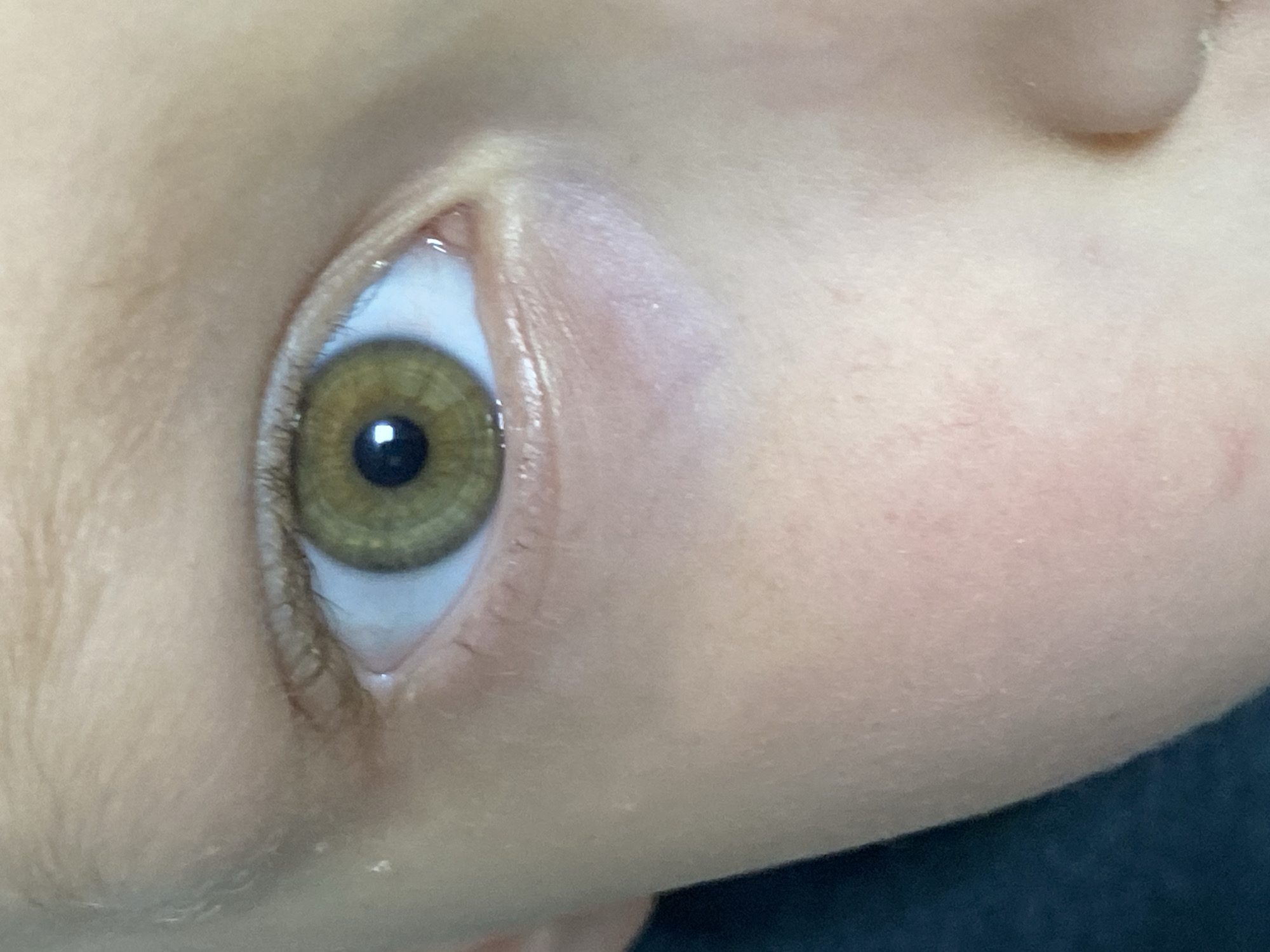 A close-up, high-resolution forensic image details the right eye and adjacent facial features of an individual. The subject's eye exhibits a predominantly olive-green or hazel iris with a dark, centrally located pupil. A distinct, bright specular reflection is visible within the pupil, indicating a direct light source. The sclera is clear and white. Eyelashes are present along both the upper and lower eyelids. The surrounding skin appears fair-toned, showing minor texture and faint pinkish coloration immediately below the lower eyelid. A portion of the bridge of the nose is visible along the right edge of the frame, and a dark, indistinct shape consistent with either clothing or an ear is partially visible on the far left. The scene is located in the city of Noviy, Russia.