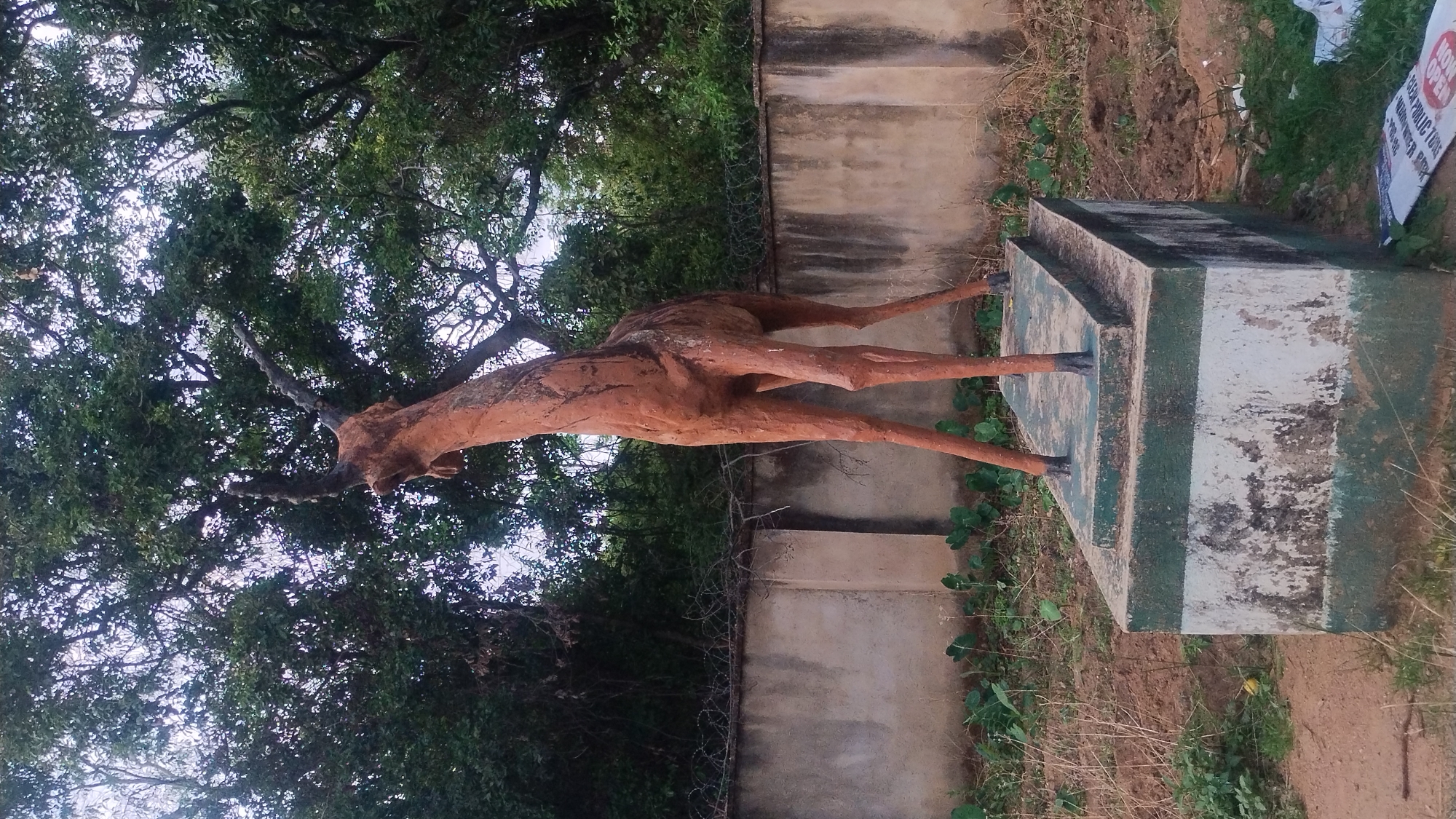 The image shows a life-size sculpture of an antelope in a park. The antelope is brown and stands on a weathered, square concrete base with a green trim at the top and bottom. The sculpture is positioned near a low concrete wall topped with barbed wire. Lush green trees surround the sculpture. The location is likely a park or public space in Jos, Nigeria. There is a sign in the background that partially obscures some of the scene. The image is rotated 90 degrees counterclockwise.