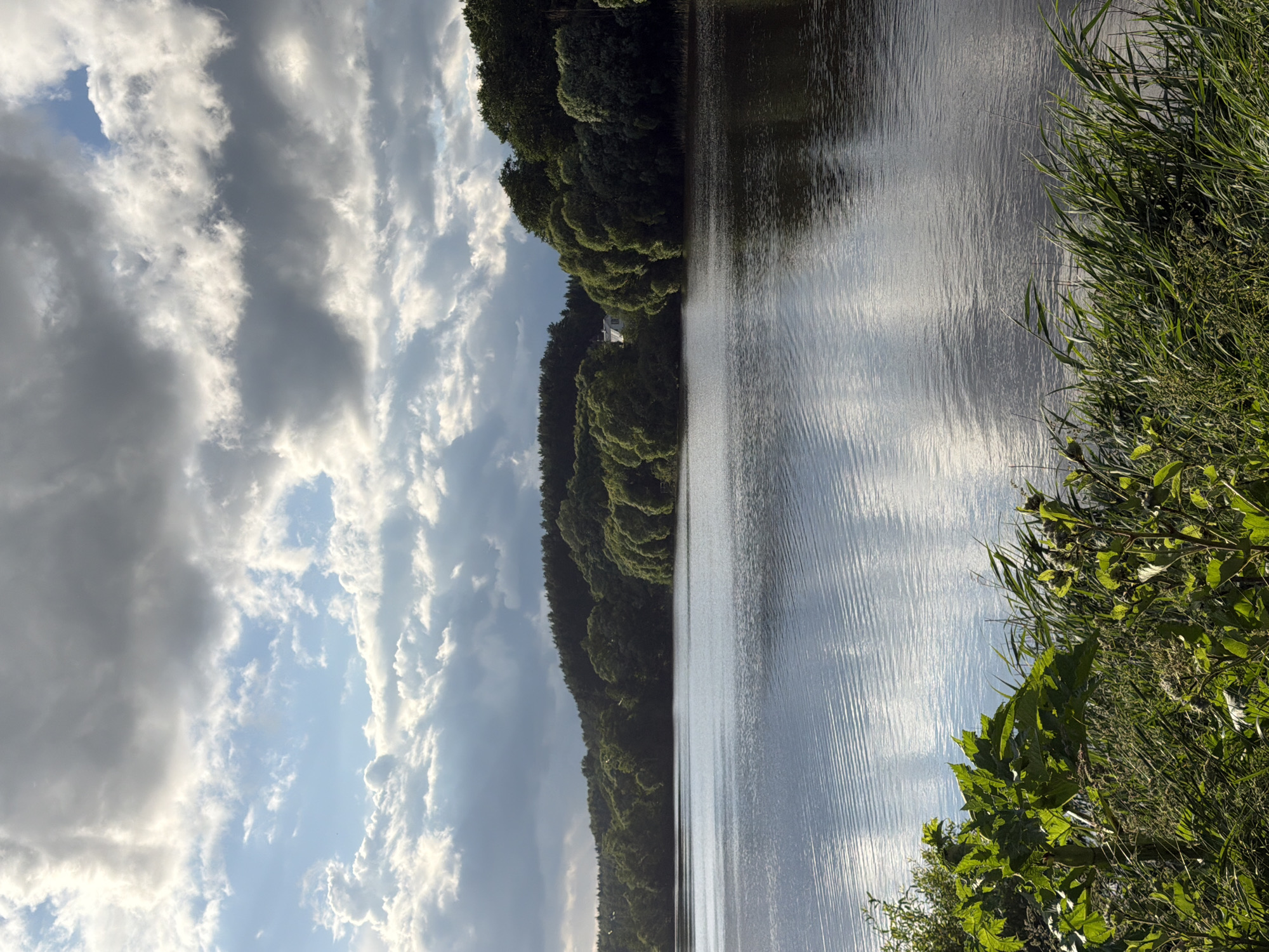 The image depicts a serene lake scene in Satino-Russkoe, Russia, bathed in the soft, diffused light of a partly cloudy sky. The foreground is dominated by lush green vegetation, including tall grasses and broad-leafed plants, creating a natural border along the water's edge. The lake itself is calm, with gentle ripples reflecting the sky and the verdant treeline that stretches across the middle ground. The treeline is dense with deciduous trees, their rounded canopies forming a soft, undulating silhouette against the horizon. A white building, possibly a house, is partially visible nestled amongst the trees on the far bank, suggesting a touch of human habitation within the natural landscape. The sky above is a dynamic mix of bright blue patches and dramatic, billowy clouds, some tinged with sunlight, others darker and more imposing, hinting at recent or approaching weather changes. The overall impression is one of tranquility and the quiet beauty of nature.