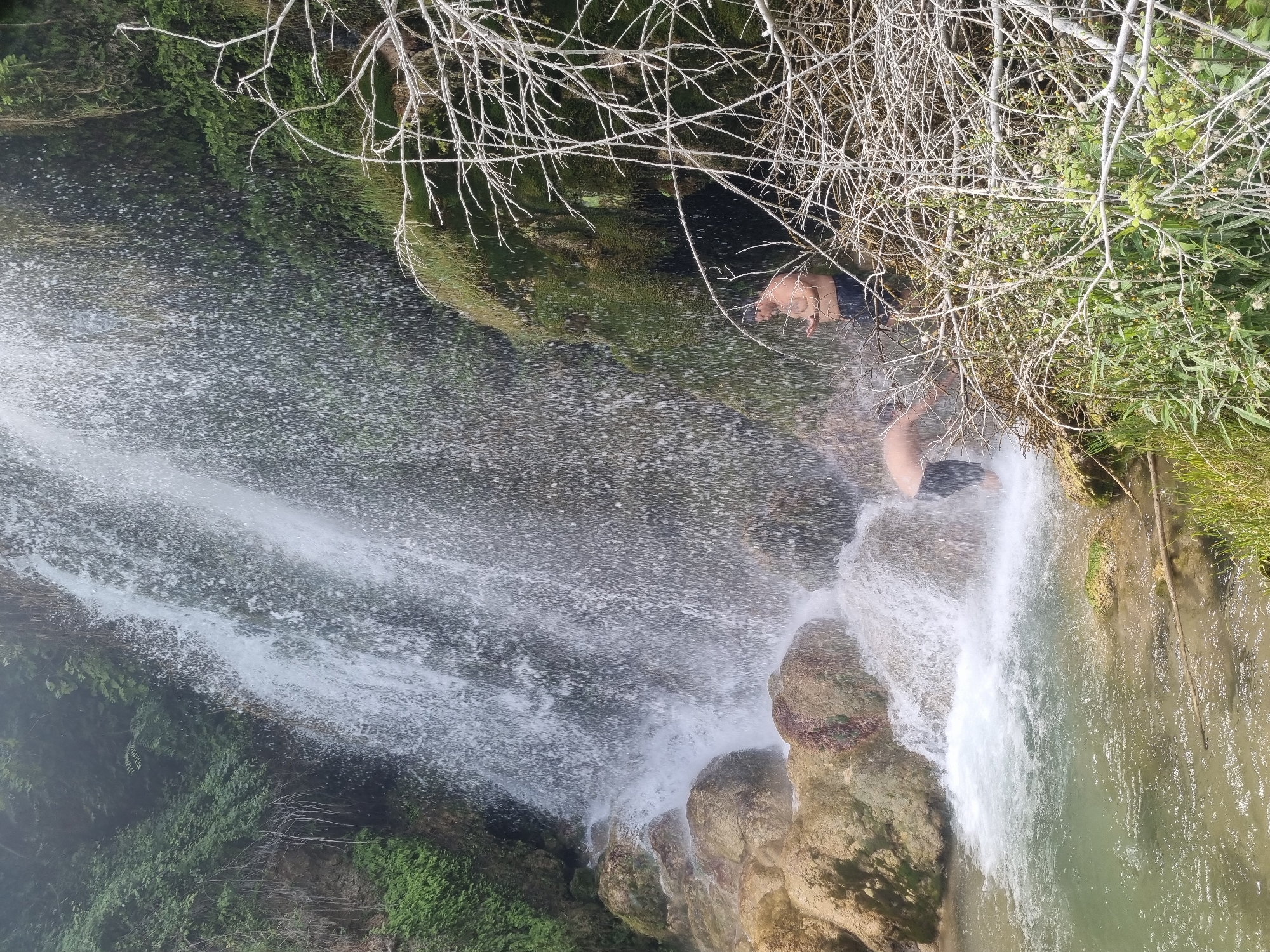 Three shirtless individuals are bathing near the base of a cascading waterfall. The waterfall is situated within a lush, verdant environment, with moss-covered rocks and dense foliage visible behind the water. The water flows over rough, reddish-brown rocks into a clear pool. In the foreground, a network of dry, thorny branches and green grass creates a natural barrier. The overall impression is one of a natural, secluded swimming spot. The location is the source of the River Cifuentes in the city of Ojos de la Fuente, located in the municipality of Cifuentes, Guadalajara, Spain.