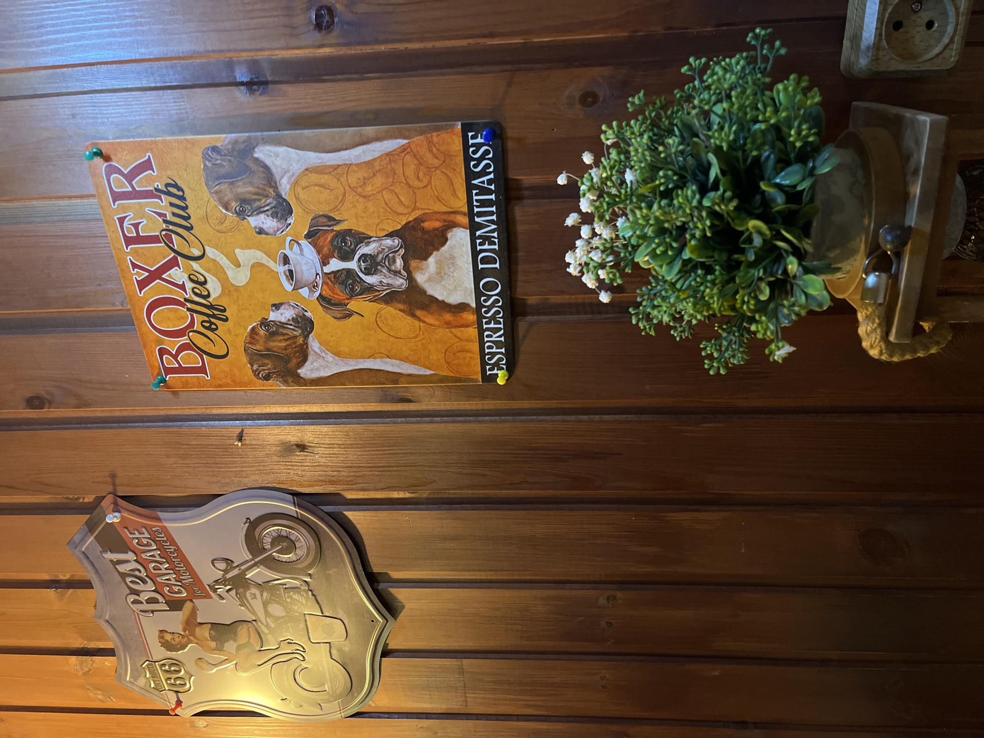 The image shows a section of a wooden wall, likely indoors. On the wall are two metal signs. The first, higher sign depicts three boxer dogs with a coffee cup between them, and the text "BOXER Coffee Club" and "ESPRESSO DEMITASSE". The second, lower sign is shaped like a shield and shows a motorcycle with a woman next to it, along with the text "Best GARAGE for Motorcycle 66". Next to the boxer sign, there is a potted plant with green foliage and small white flowers. To the right of the plant, there is a wooden electrical outlet. The location in Petropavlovsk-Kamchatsky, Russia, cannot be determined.