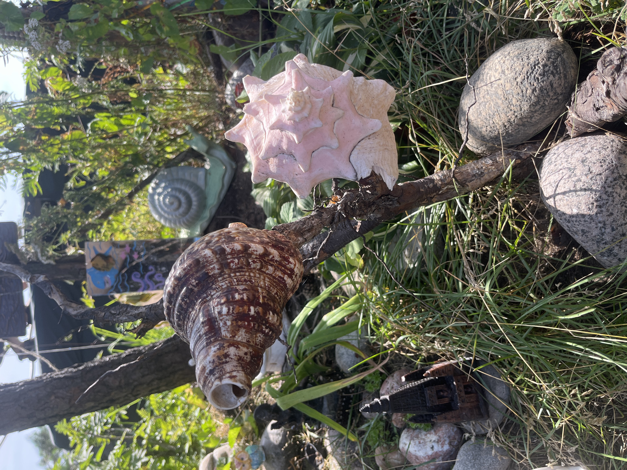 The image depicts an outdoor decorative garden scene featuring two large seashells mounted on a branch. A large, brown and white patterned seashell is positioned on the left side of the branch, while a pink, spiky seashell is on the right. In the background, a ceramic garden snail is visible amongst lush green foliage. To the lower left, a small, dark brown, intricate model of a building, resembling a church or temple, sits amongst rocks and dry grass. The scene appears to be set in a garden with natural elements like trees, plants, and stones. The lighting suggests a sunny day. The location is identified as Unknown, Unknown.