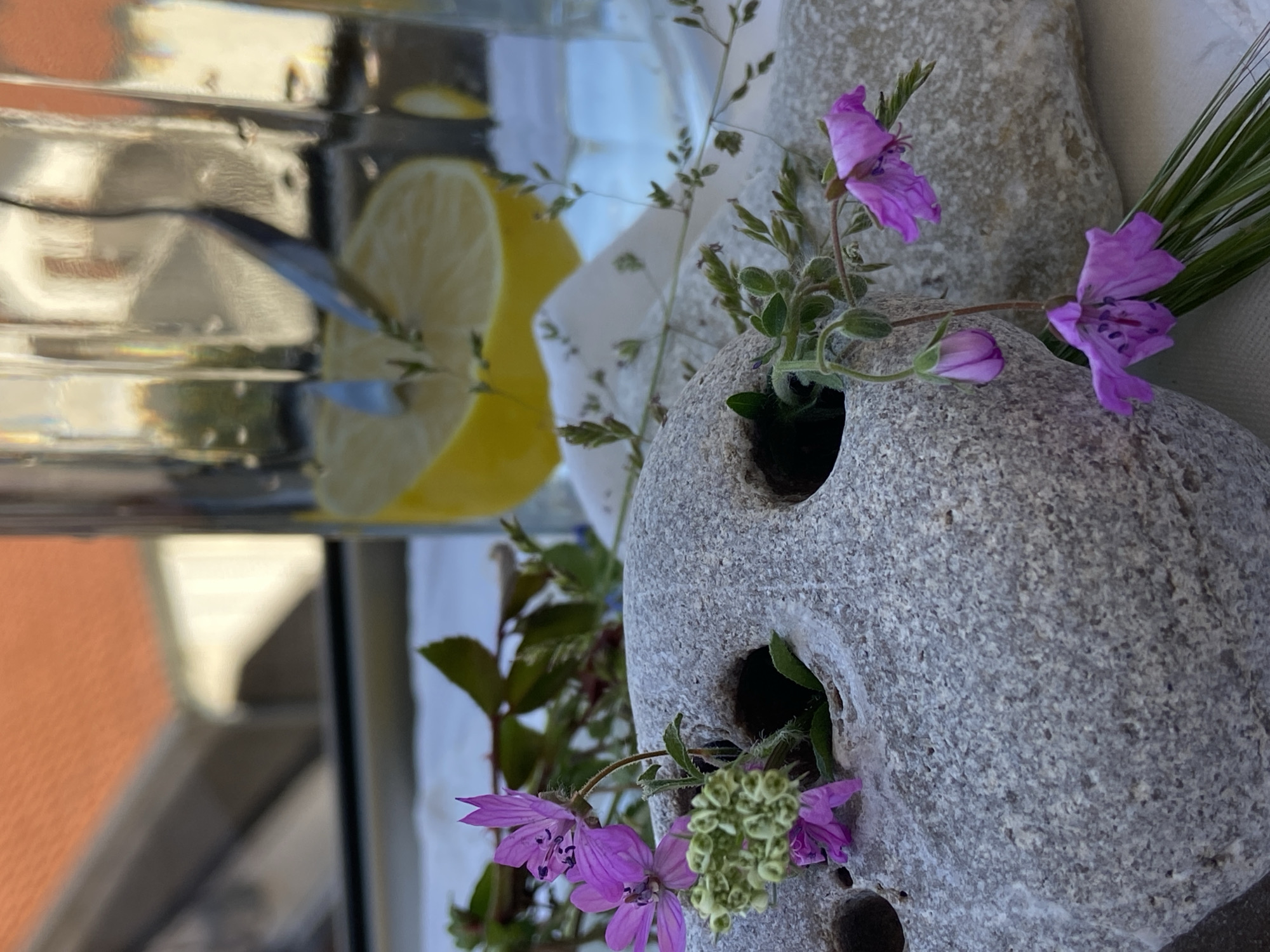 The image shows an indoor arrangement, possibly a still life. A glass pitcher or jar contains water and slices of lemon. Beside the pitcher is a light gray, porous rock with several holes in it. Purple flowers with five petals are growing out of the holes, along with some green foliage. Behind the rock is a white surface, possibly fabric or paper. The background includes a glimpse of an orange roof seen through a window, suggesting an urban setting. Although not explicitly stated, the image is reported to be from Budva, Montenegro. There are no people visible in the frame.