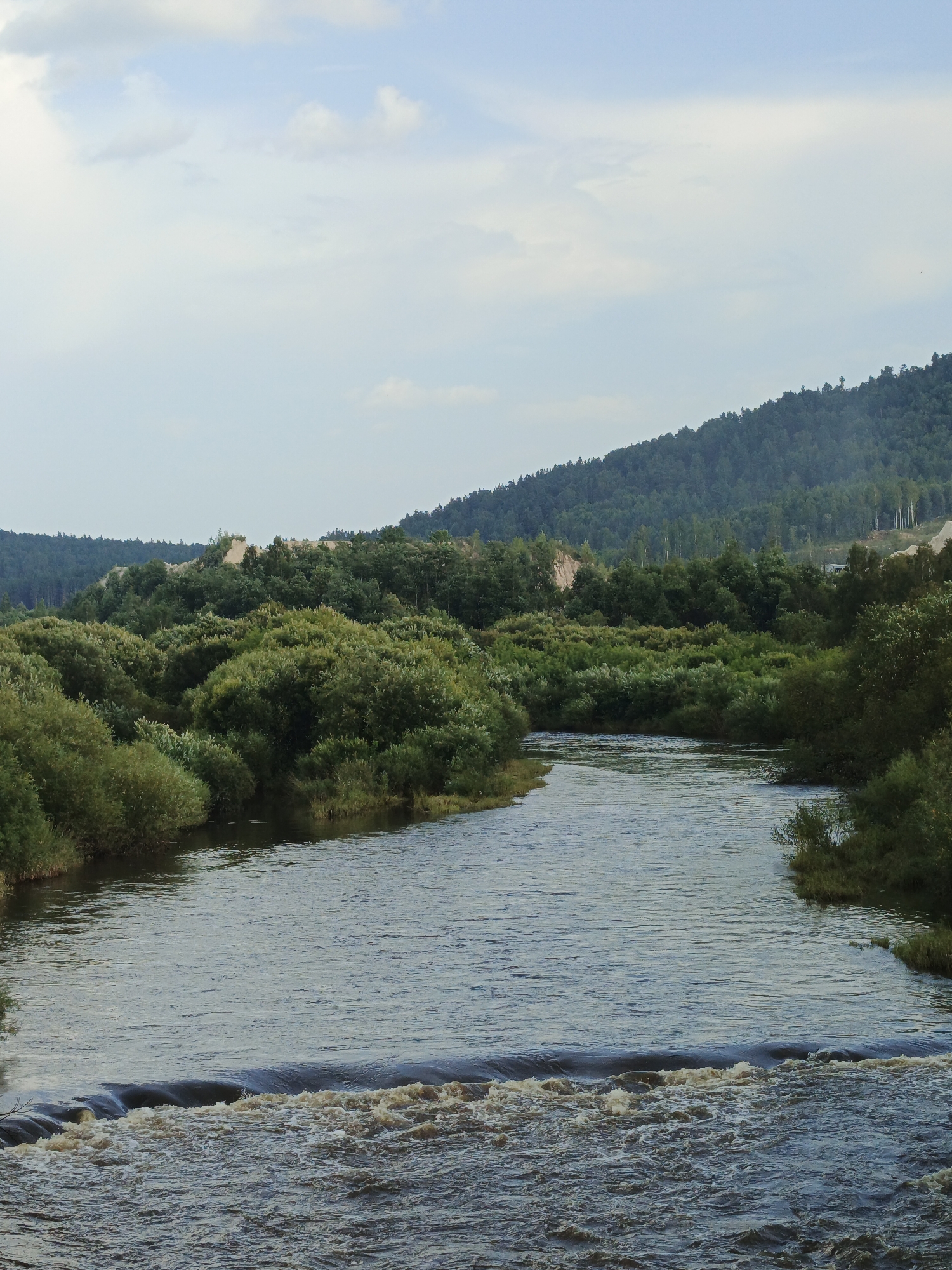 This is a vertical, full shot of a wide, calm river flowing through a lush green landscape. The river takes up the majority of the foreground and midground, with visible ripples and some light brown, foamy water where a small waterfall or weir is present. On either side of the river, dense, verdant foliage forms the banks, with trees and bushes creating a thick wall of green. In the background, rolling hills covered in dark green trees rise up, with lighter colored patches suggesting exposed earth or gravel on some slopes. The sky above is a pale blue with scattered white clouds, giving the impression of a clear day. The scene appears to be a natural landscape, possibly a park or a rural area near Medvedyovka, Russia. There are no people or visible man-made structures other than the potential weir in the river.