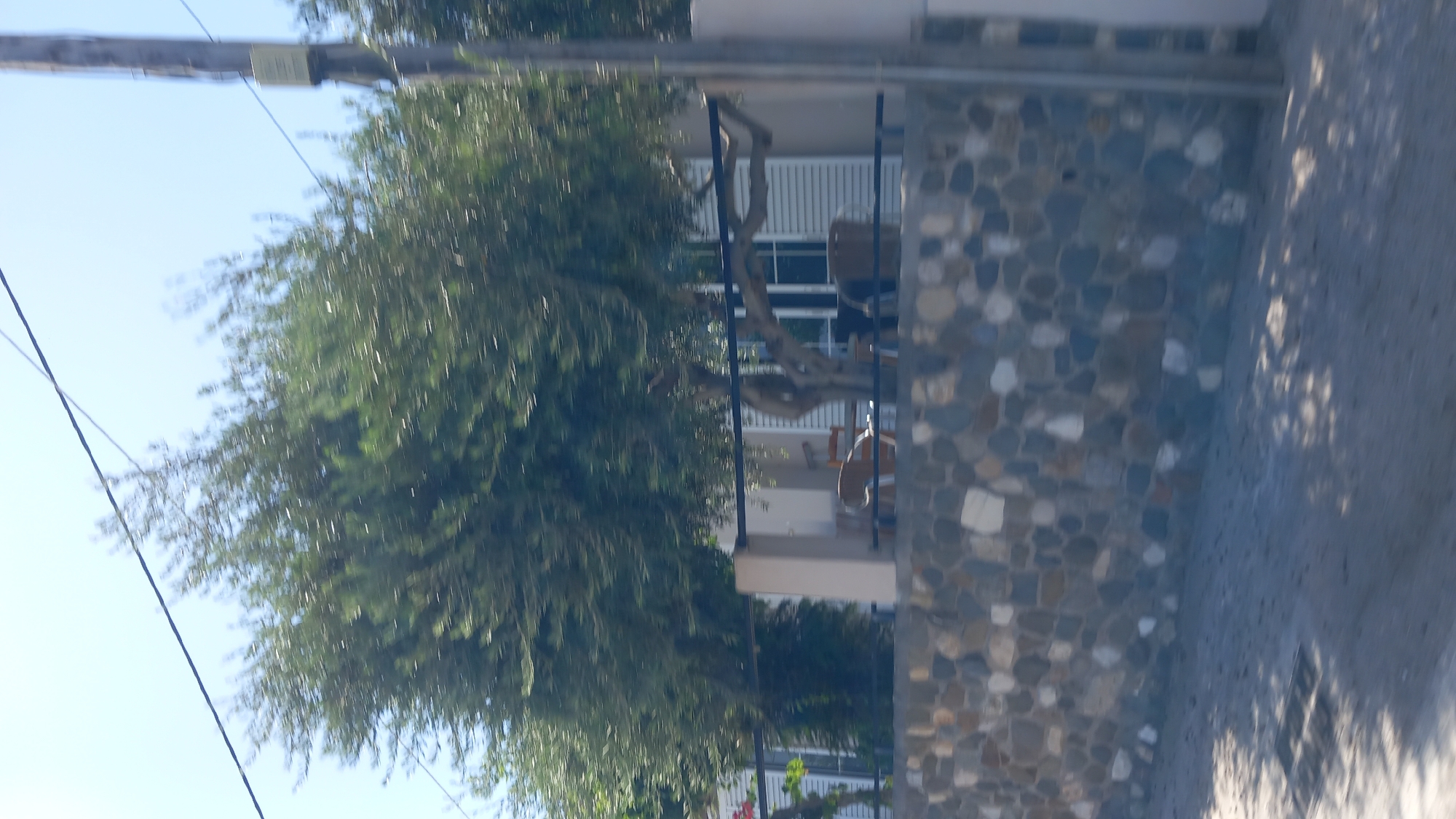 This is a horizontal, slightly blurry, eye-level, outdoor, daytime photograph taken from a moving vehicle. The scene appears to be a coastal area in the city of Ηρακλής, Greece. In the foreground, there is a rough stone wall constructed from irregularly shaped, multi-colored stones. Beyond the wall, a building with white shutters is visible. An old, gnarled tree with lush green foliage partially obscures the building. There are several chairs on a patio area in front of the building. A utility pole with a sign is positioned on the right side of the frame. The sky is clear and blue.