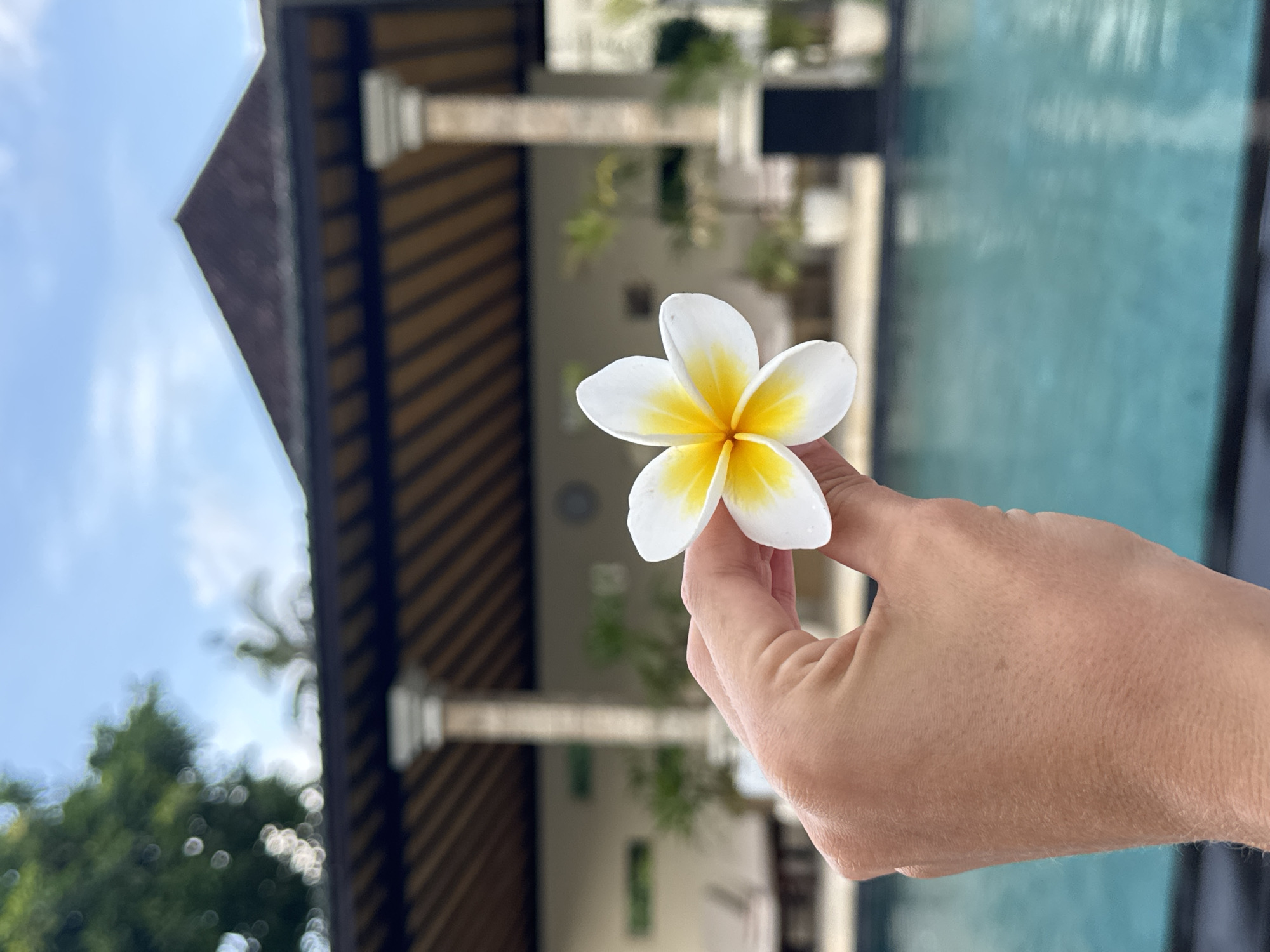 In Karangasem, Indonesia, a person's hand is holding a white and yellow plumeria flower in the foreground, with a swimming pool and a building with columns and a sloped roof in the background under a partly cloudy sky.