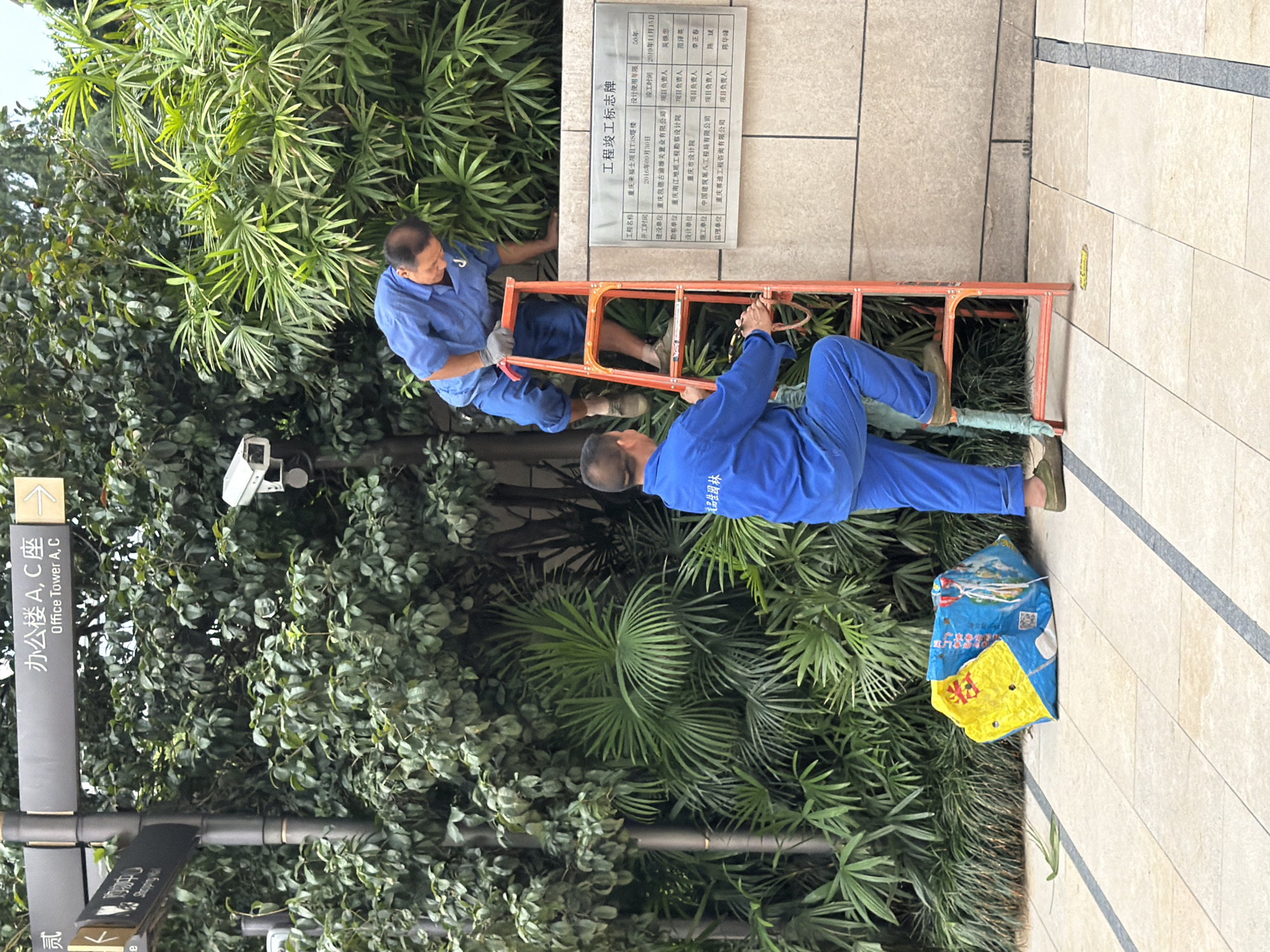 Two men in blue uniforms are working on a ladder in front of a wall with a plaque. One man is on the ladder, reaching upwards, while the other stands at the base, holding the ladder steady. A surveillance camera is visible on a pole amidst dense green foliage. A large, colorful bag lies on the tiled ground near the ladder. The plaque on the wall has Chinese characters and appears to be a project designation. The environment suggests an outdoor urban setting, possibly a park or public space in the Yuzhong District of China, given the context.