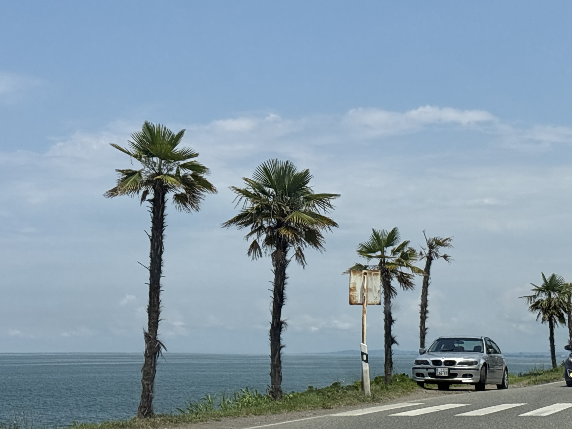 The image shows a silver sedan parked on the right side of a paved road, adjacent to a grassy verge and several palm trees. The road features white diagonal stripes indicating a pedestrian crossing or similar traffic marking. Beyond the road and verge, a body of water, likely the Black Sea, stretches to the horizon under a partially cloudy blue sky. Four palm trees are visible in varying heights and states of foliage, with the largest and most prominent on the left side of the frame. A rusty signpost stands between two of the palm trees. A second vehicle, partially visible on the far right, appears to be a motorcycle or scooter. The overall scene suggests a coastal road location, consistent with the coastline of Batumi, Georgia.