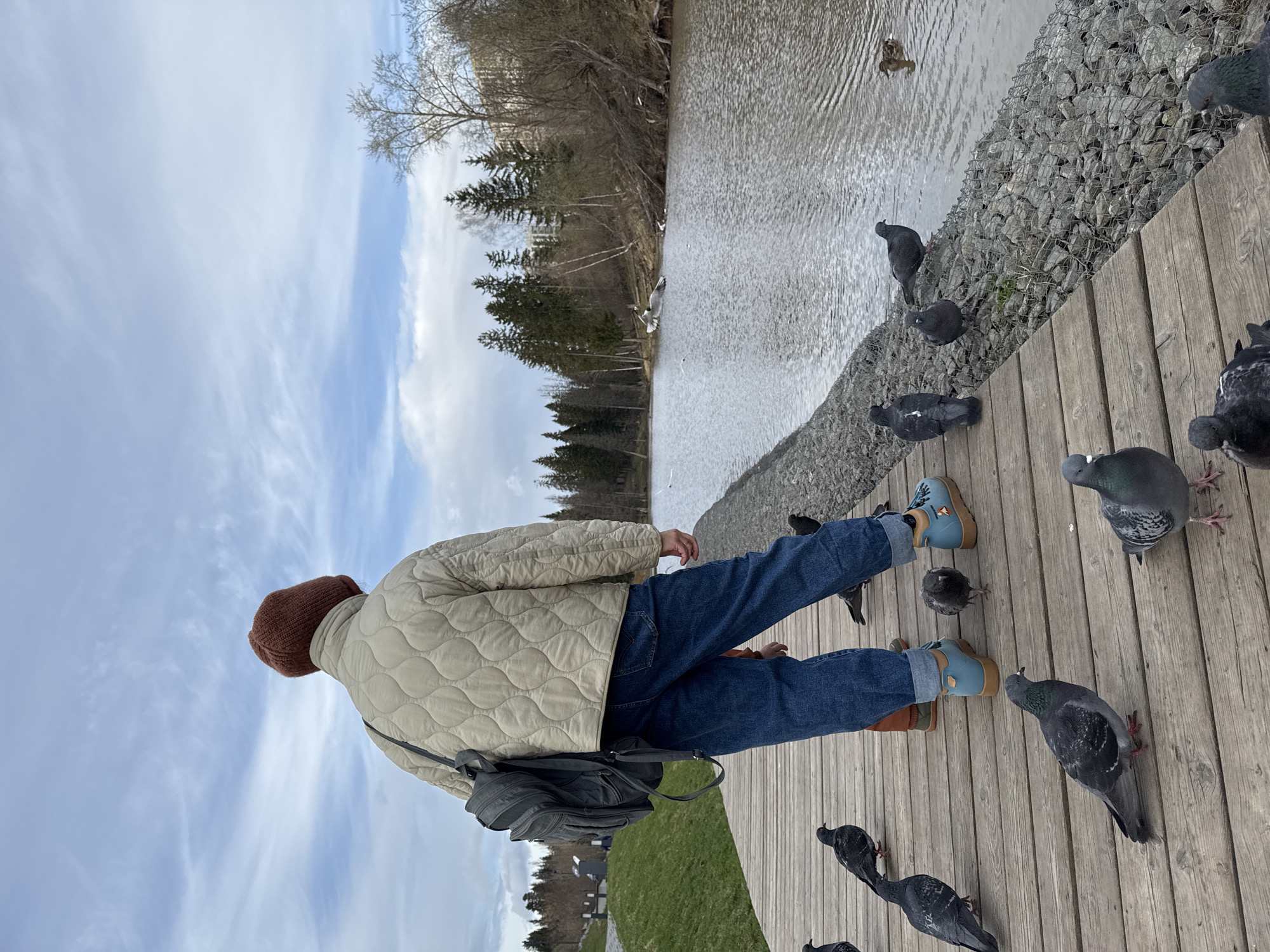 This image, taken in Izhevsk, Russia, depicts an individual standing on a wooden boardwalk beside a body of water, possibly a river or lake. The person is viewed from behind, wearing a light beige quilted jacket, dark blue jeans with cuffed hems, a reddish-brown knit beanie, and light blue boots with tan soles. A dark grey backpack is visible on their left shoulder.
The scene features numerous pigeons congregated on the boardwalk and along the water's edge, some appearing close to the person's feet, suggesting observation or interaction like feeding. A duck is also seen swimming in the rippling water. The bank opposite the boardwalk is lined with a mix of bare deciduous trees and evergreen conifers, indicative of a late winter or early spring season.
The sky is largely overcast with wispy clouds, suggesting daytime conditions. A gabion wall, constructed from wire cages filled with rocks, separates the wooden boardwalk from the water. The setting appears to be a park or a developed waterfront area designed for public access. The overall atmosphere is calm and observational. No visible text is present in the media file.