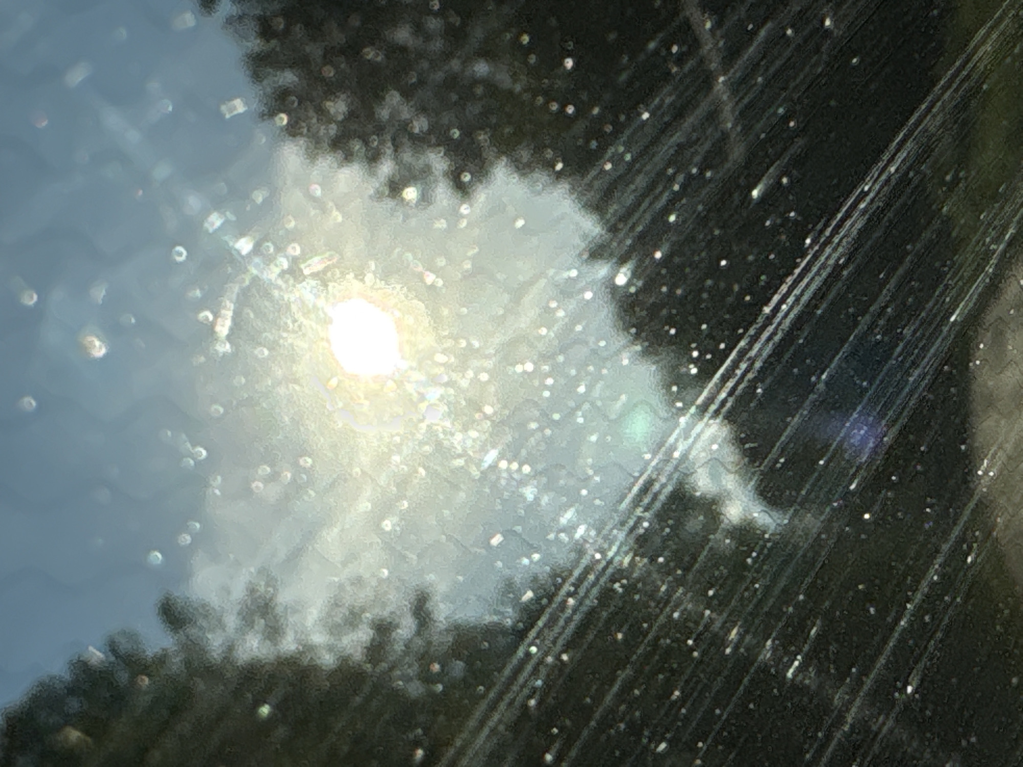 The image captures an outdoor scene from the interior of a vehicle, looking through its windshield, located in the city of Rezvykh, Russia. The central upper portion of the frame is dominated by an intensely bright, overexposed light source, consistent with the sun, which generates significant glare and numerous scattered luminous reflections across the glass. Dark, indistinct shapes of trees flank the upper-left and upper-right sides of the image. The foreground of the image, representing the windshield, is covered with numerous small, bright, circular points, indicative of water droplets or particulate debris. Multiple parallel, diagonal lines, consistent with streaks from windshield wiper blades, are visible across the lower half of the frame. A blue-purple lens flare artifact is noticeable in the lower-central area. The sky, partially obscured by the glare and trees, appears light blue to greyish-white. No human subjects are discernible.