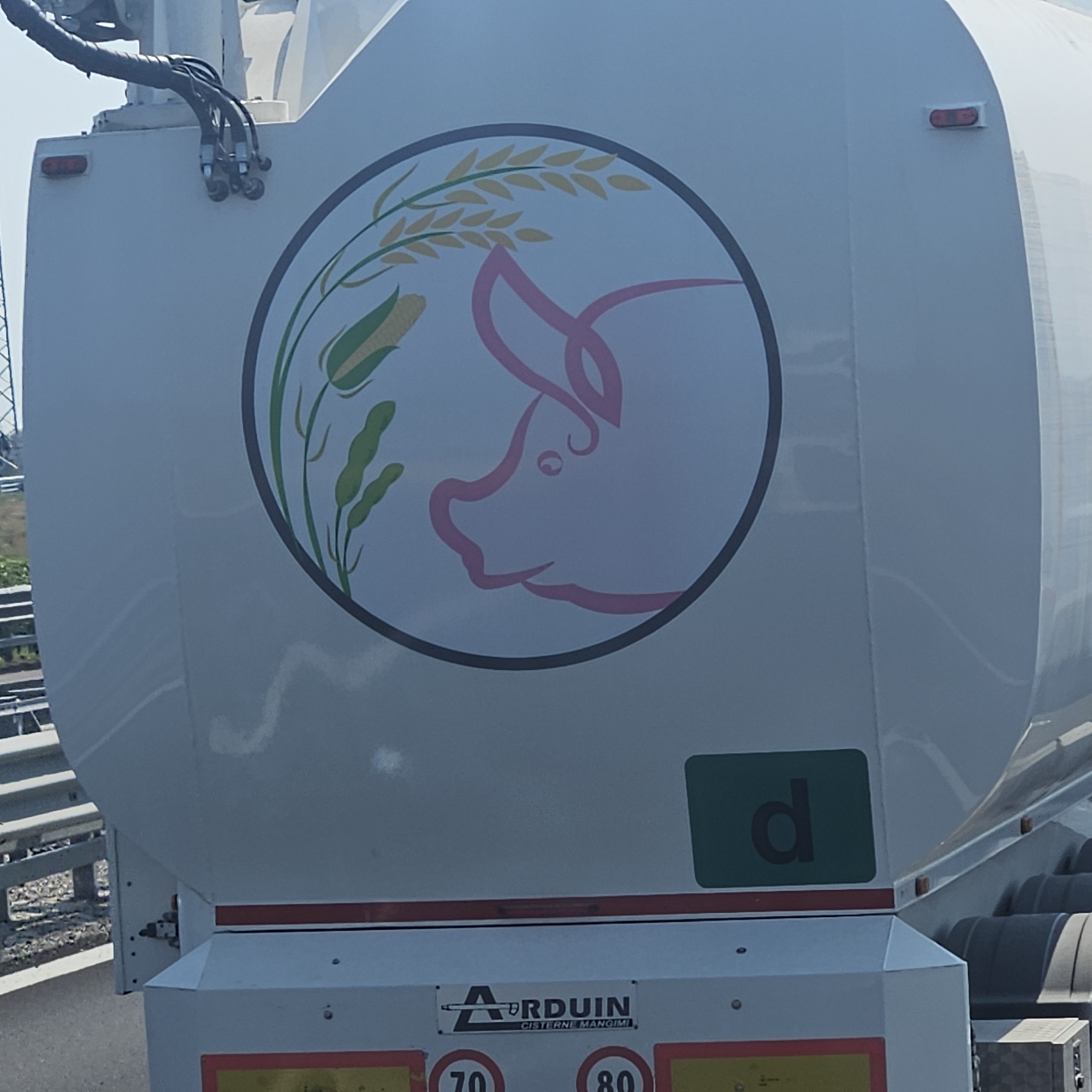 The image shows the side of a white semi-trailer truck, likely a tanker for feed or grain. A large circular logo is visible, featuring a stylized pink pig's head in profile, surrounded by agricultural imagery including wheat stalks and corn. To the right of the logo, a green rectangle with a dark "d" is present. Below the logo, a red stripe separates the upper section of the truck from the lower equipment housing, which displays a manufacturer's logo "ARDUIN CISTERNE MANGIMI". Speed limit signs for 70 and 80 are visible at the bottom. The truck appears to be parked on a paved surface, with a guardrail and a transmission tower in the background, suggesting an industrial or roadside location. The lighting indicates it is daytime, with sunlight casting subtle reflections on the truck's surface. There are no people visible in the image. The image was taken in the city of Desenzano del Garda, Italy.