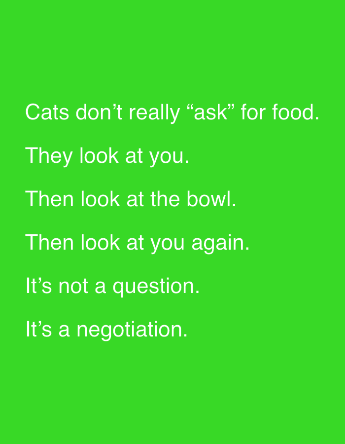 The image contains white text on a bright green background. The text reads:
"Cats don't really "ask" for food.
They look at you.
Then look at the bowl.
Then look at you again.
It's not a question.
It's a negotiation."
There are no people, subjects, or objects other than the text itself, and the environment is a plain green background. The image is a digital graphic, not a photograph of a physical scene in a city.