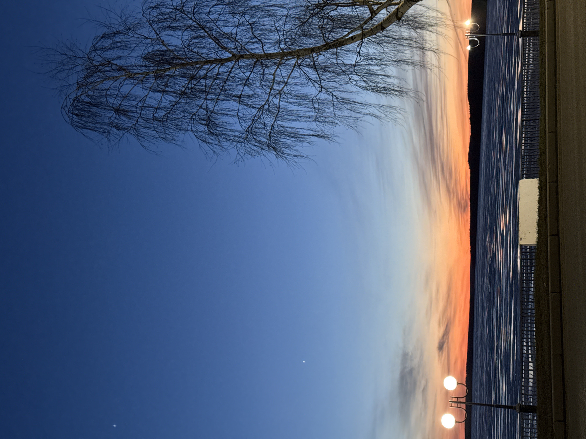 The image shows a sunset over a body of water, likely the Votkinsk Reservoir in Votkinsk, Russia. A bare tree branch is in the upper left. Along the right edge is a paved area with a metal fence and lampposts with lit globes. The sky is a gradient of blue to orange/pink at the horizon.
